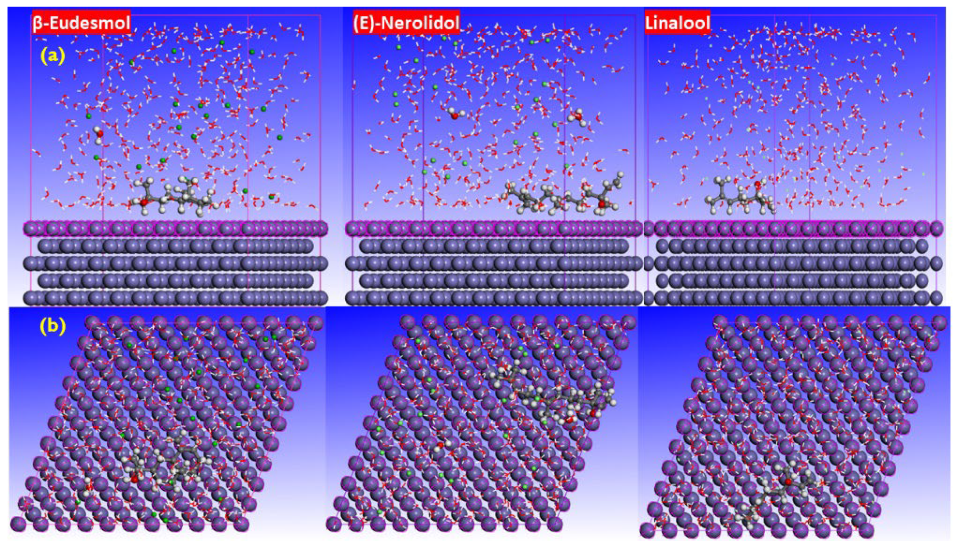 Coatings 14 01164 g008