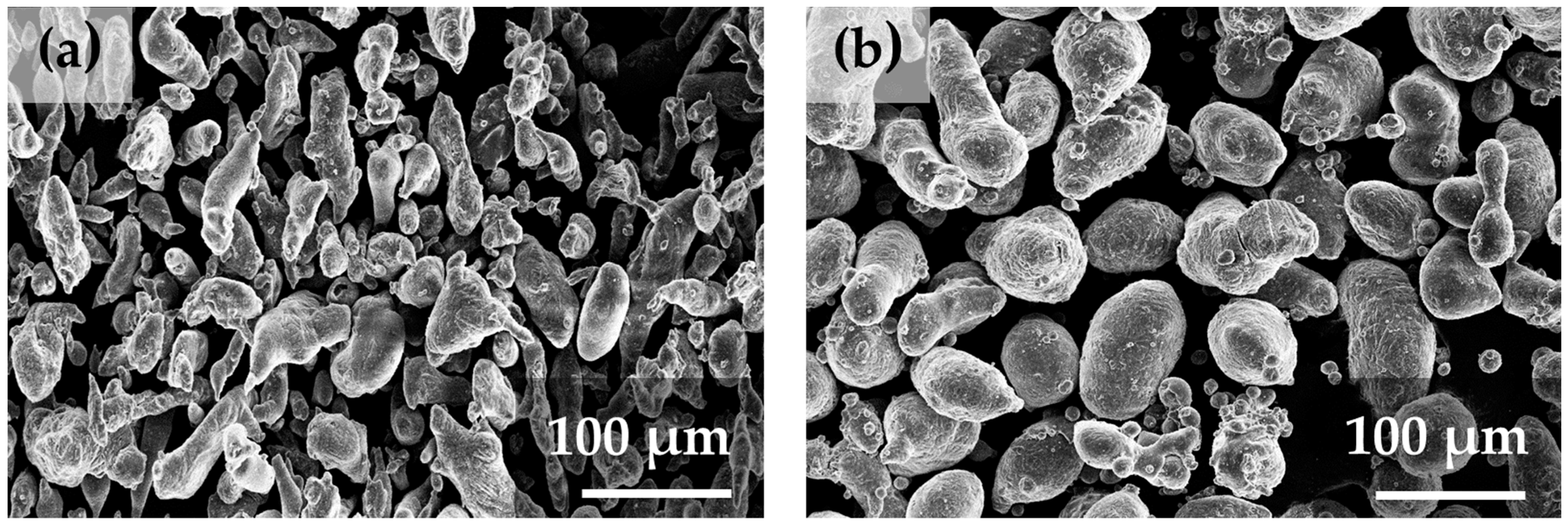 Coatings 14 01169 g001