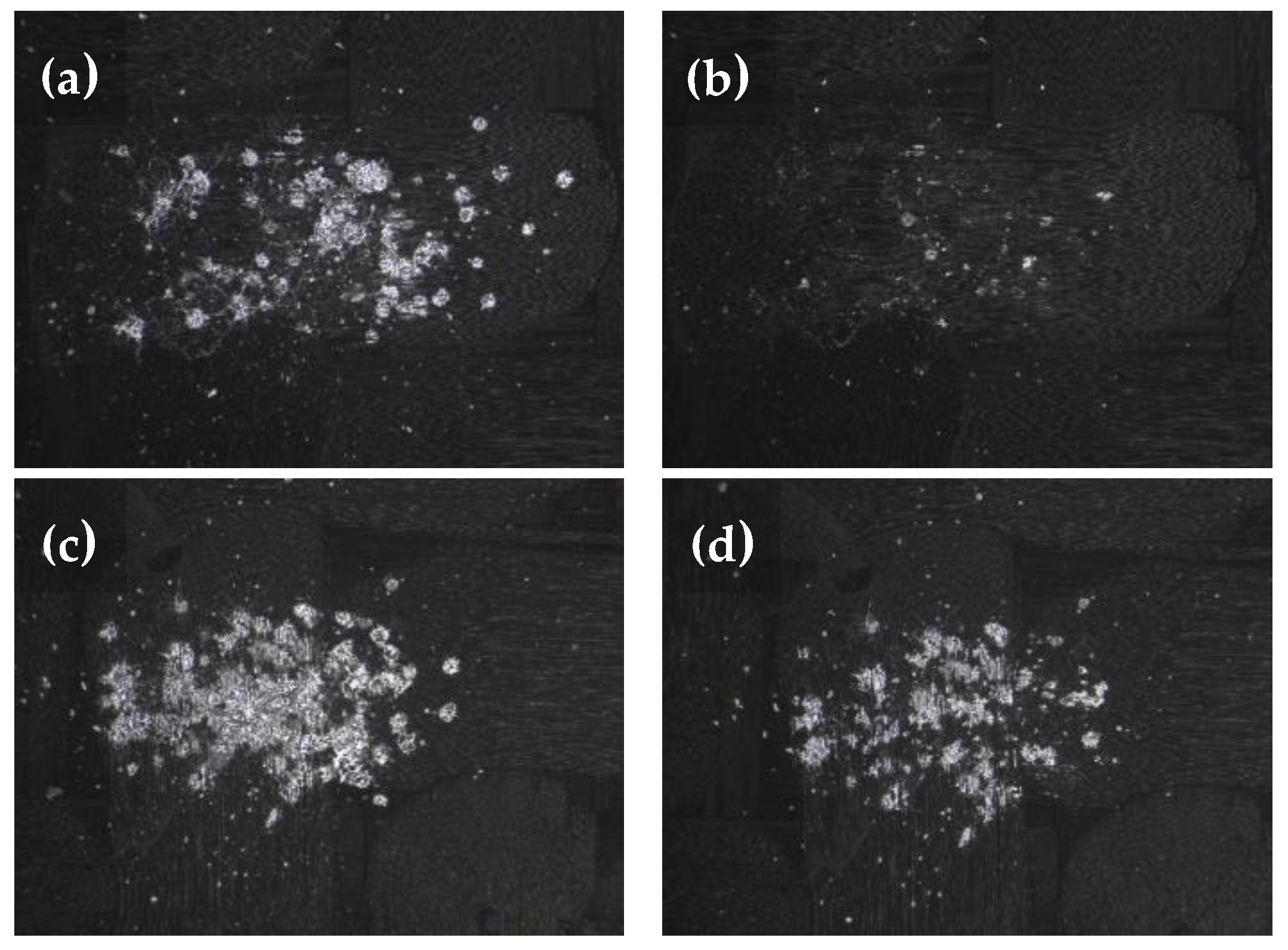 Coatings 14 01169 g004
