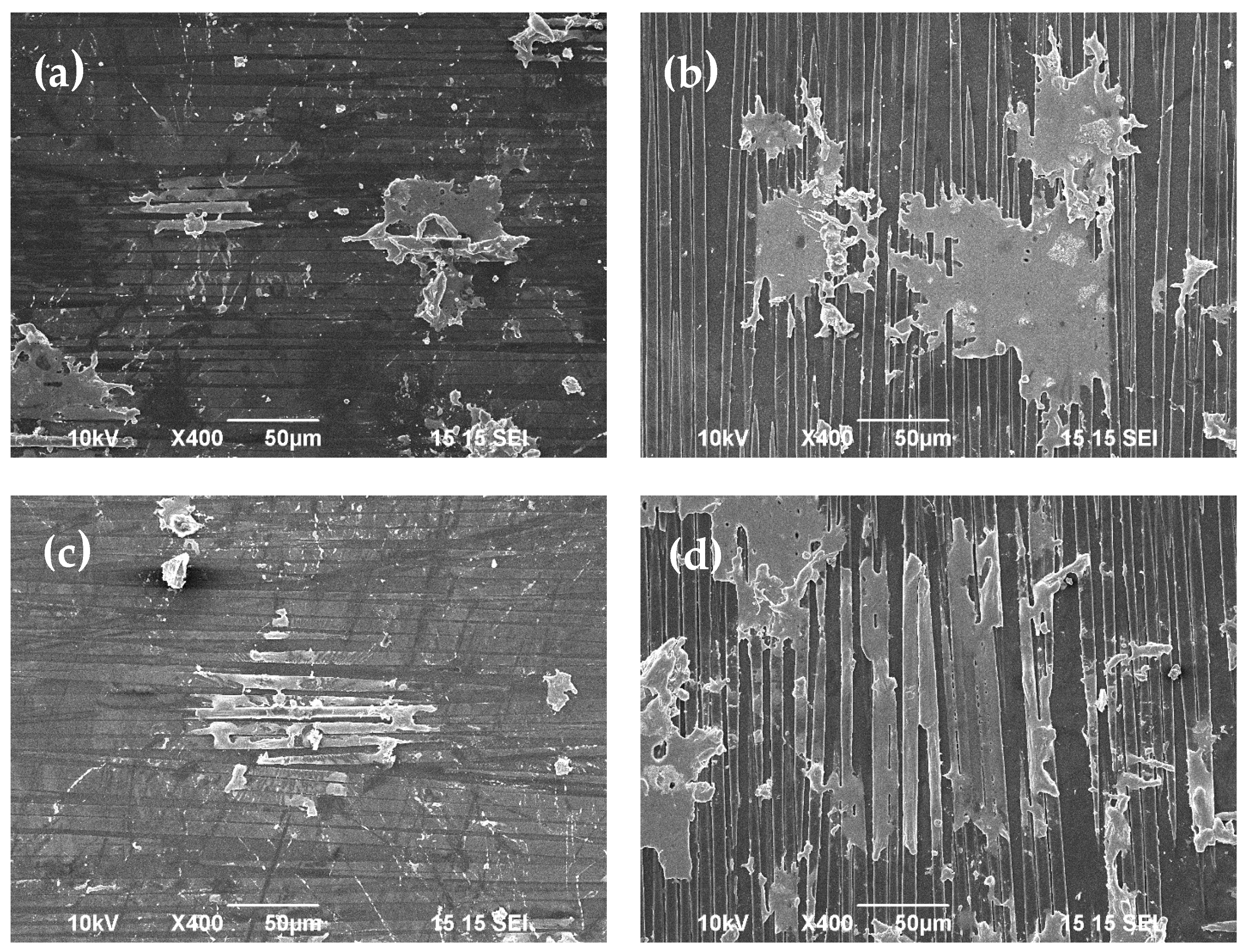 Coatings 14 01169 g005