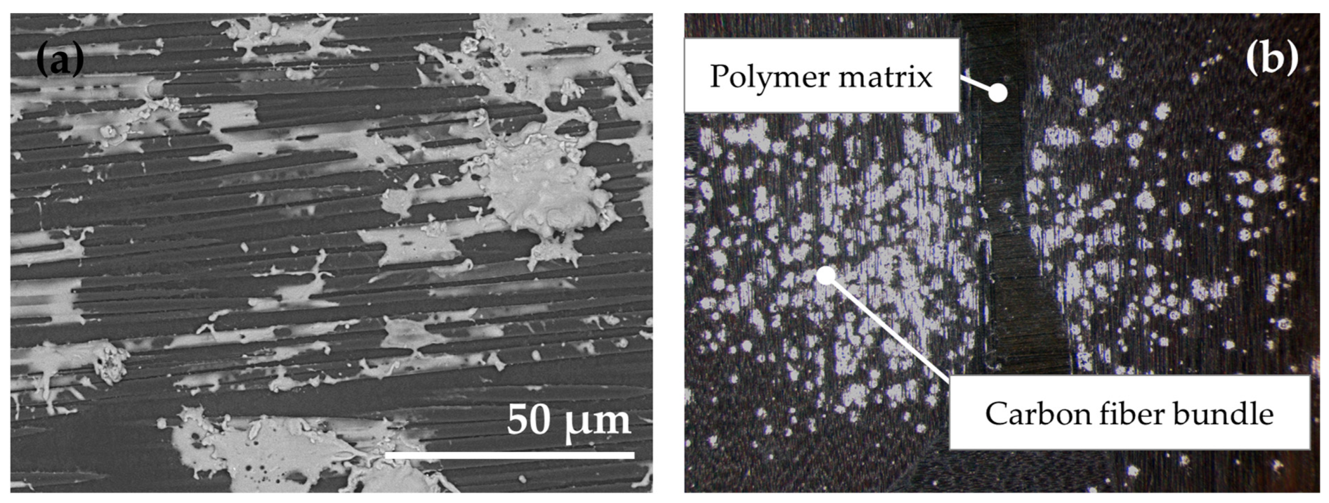 Coatings 14 01169 g006