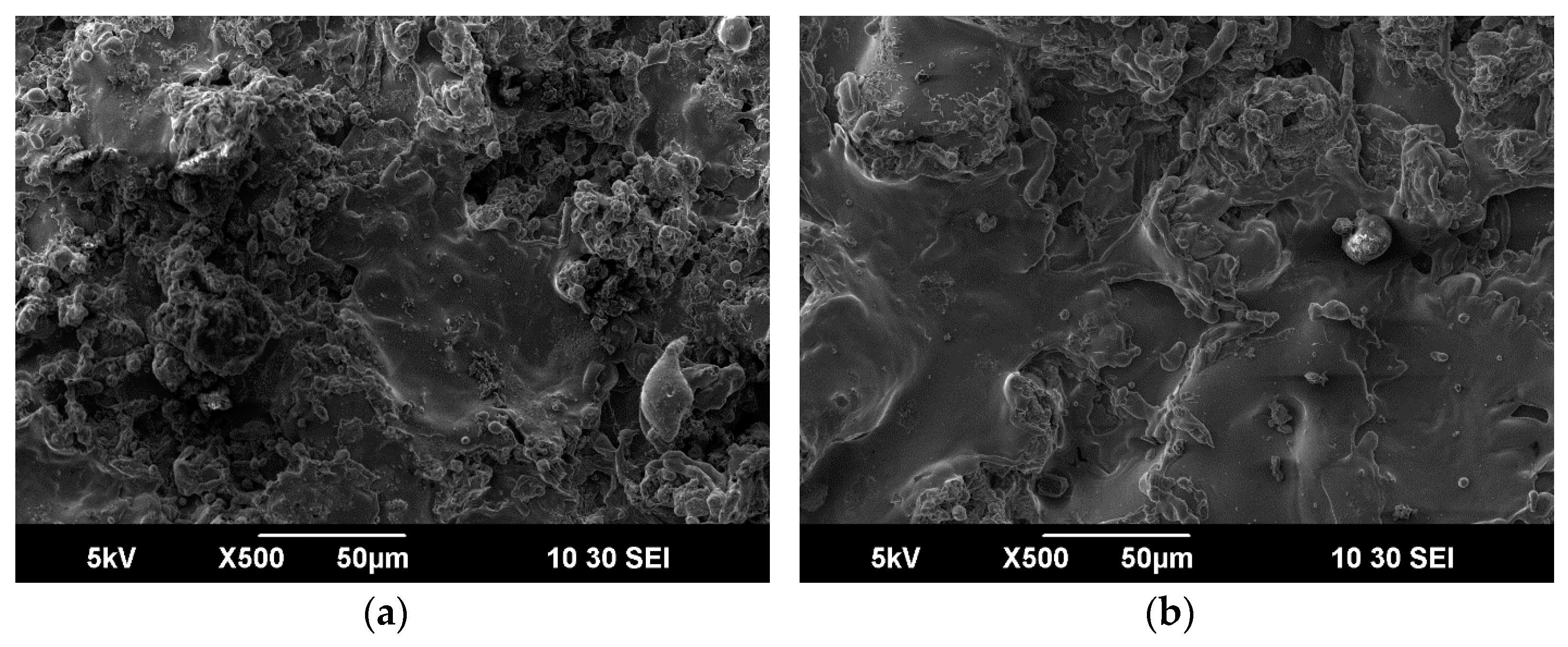 Coatings 14 01169 g010