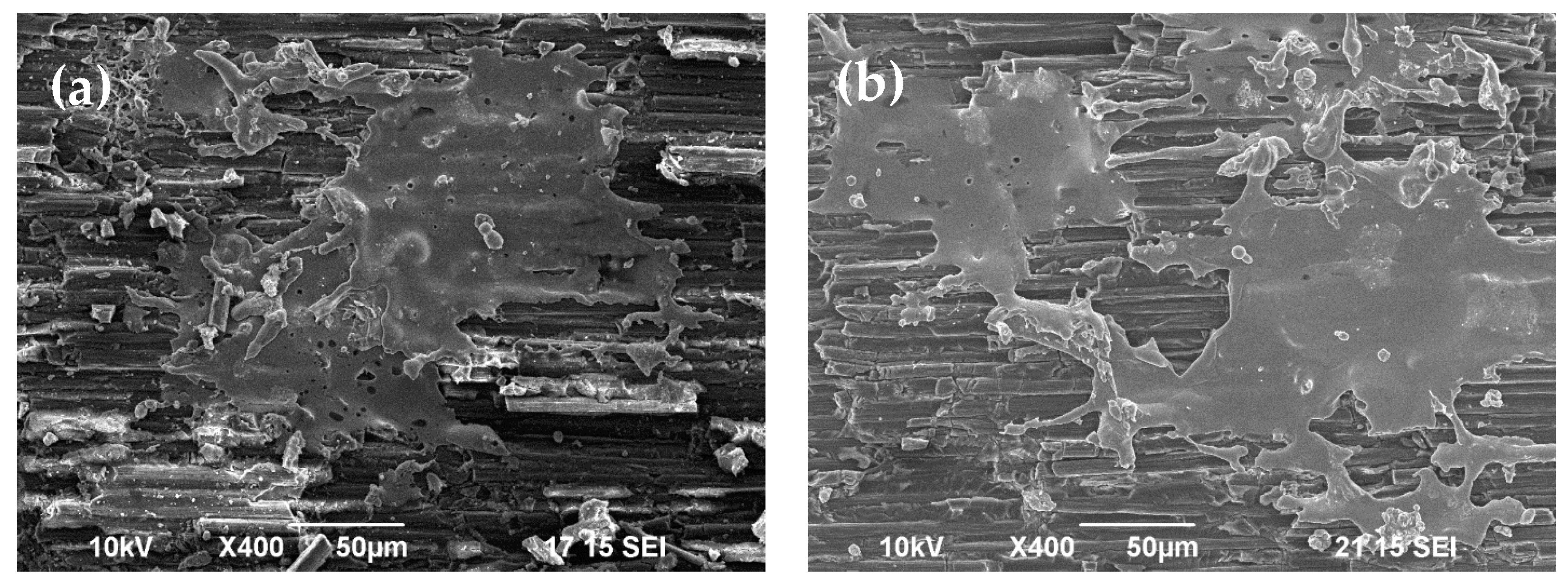Coatings 14 01169 g015