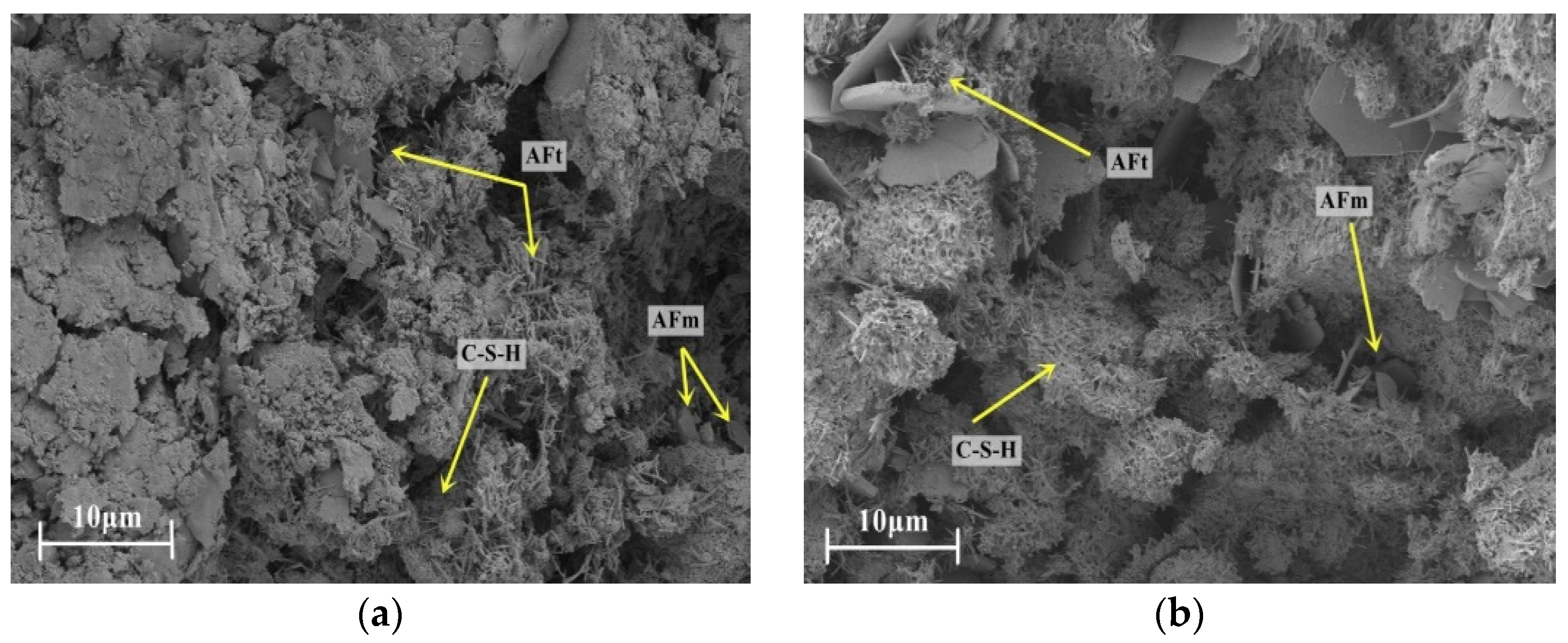 Coatings 14 01173 g006
