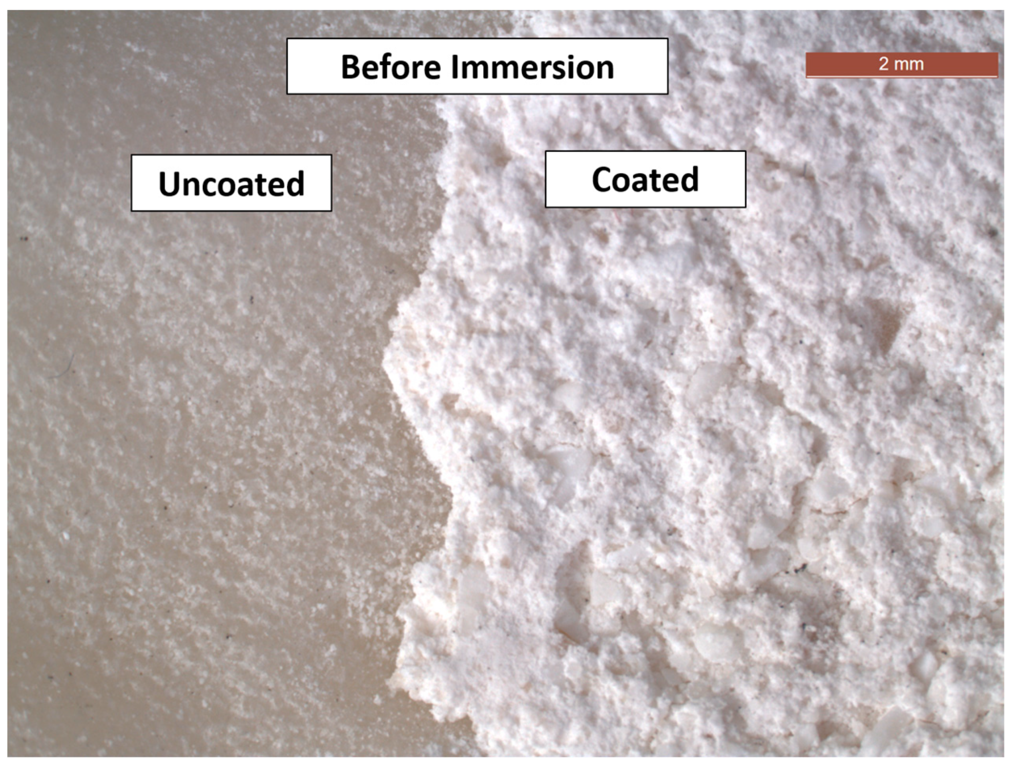 Coatings 14 01181 g003 Coatings 14 01181 g003