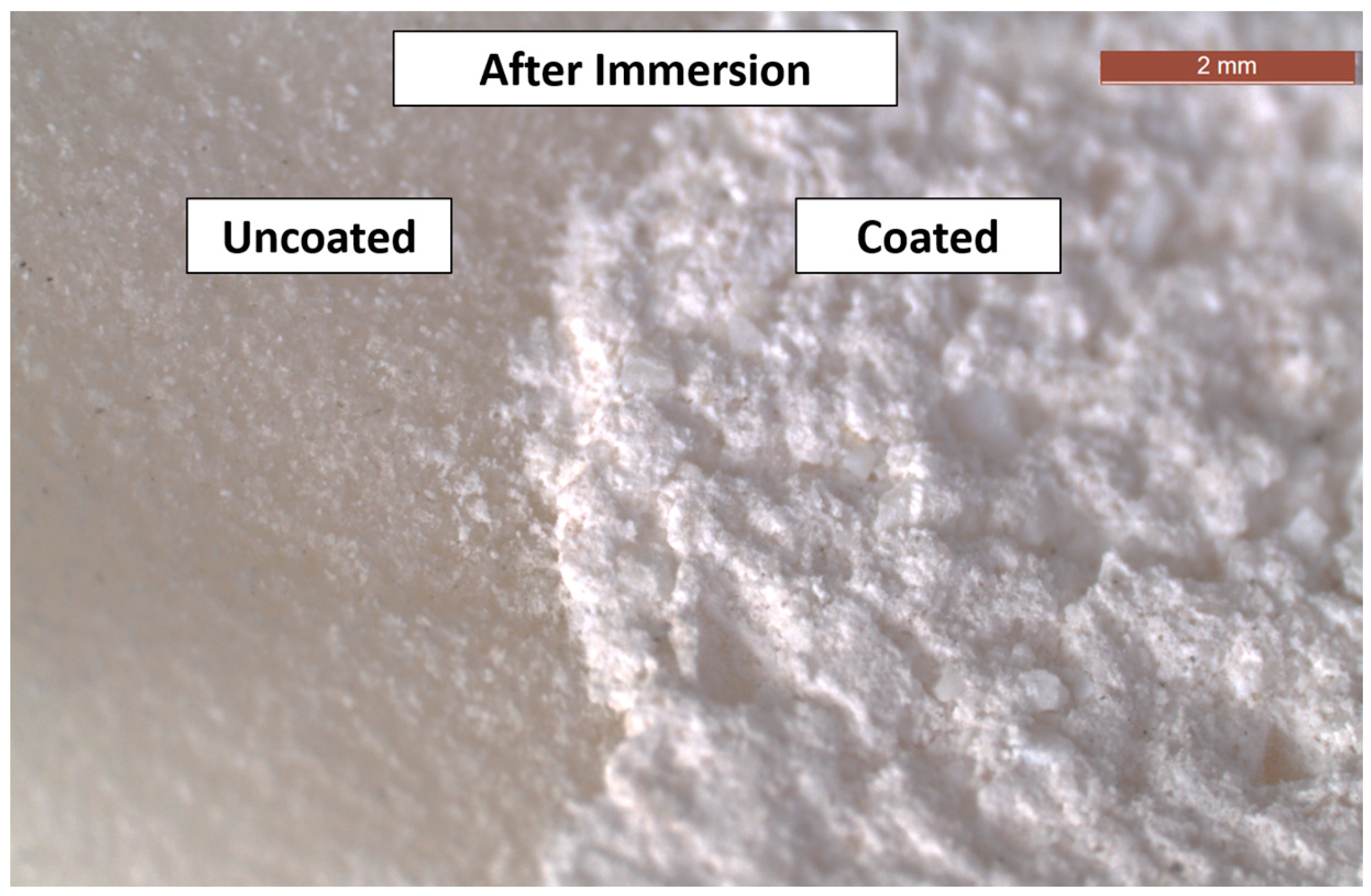 Coatings 14 01181 g004 Coatings 14 01181 g004