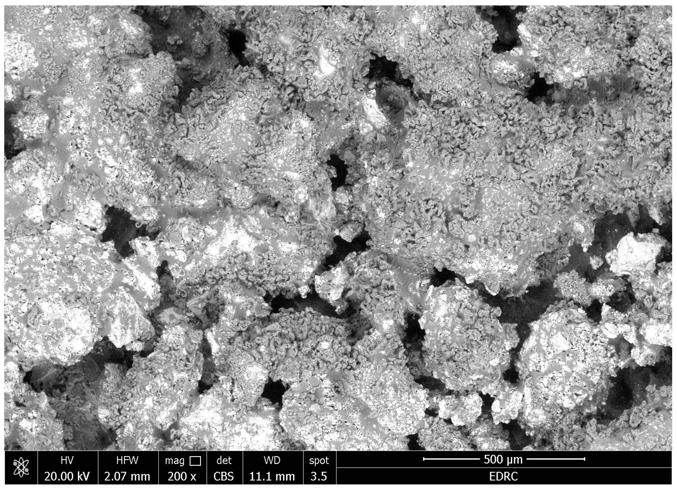 Coatings 14 01181 g010 Coatings 14 01181 g010