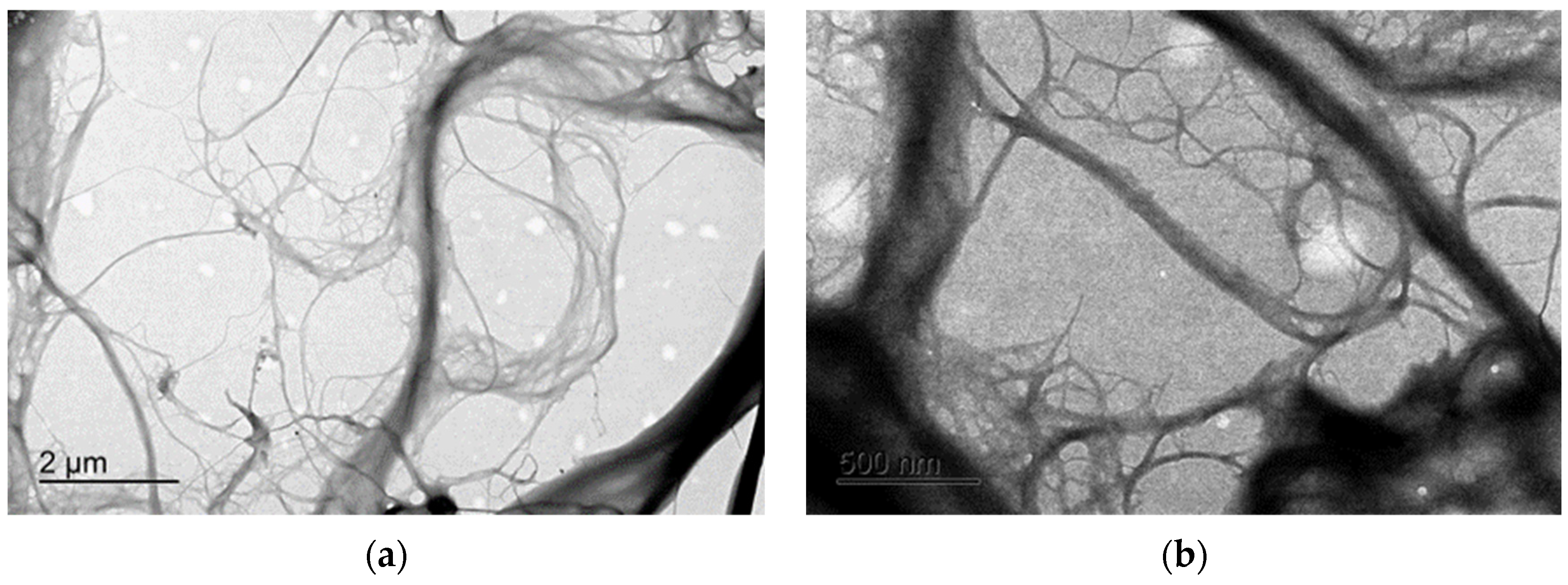 Coatings 14 01182 g001