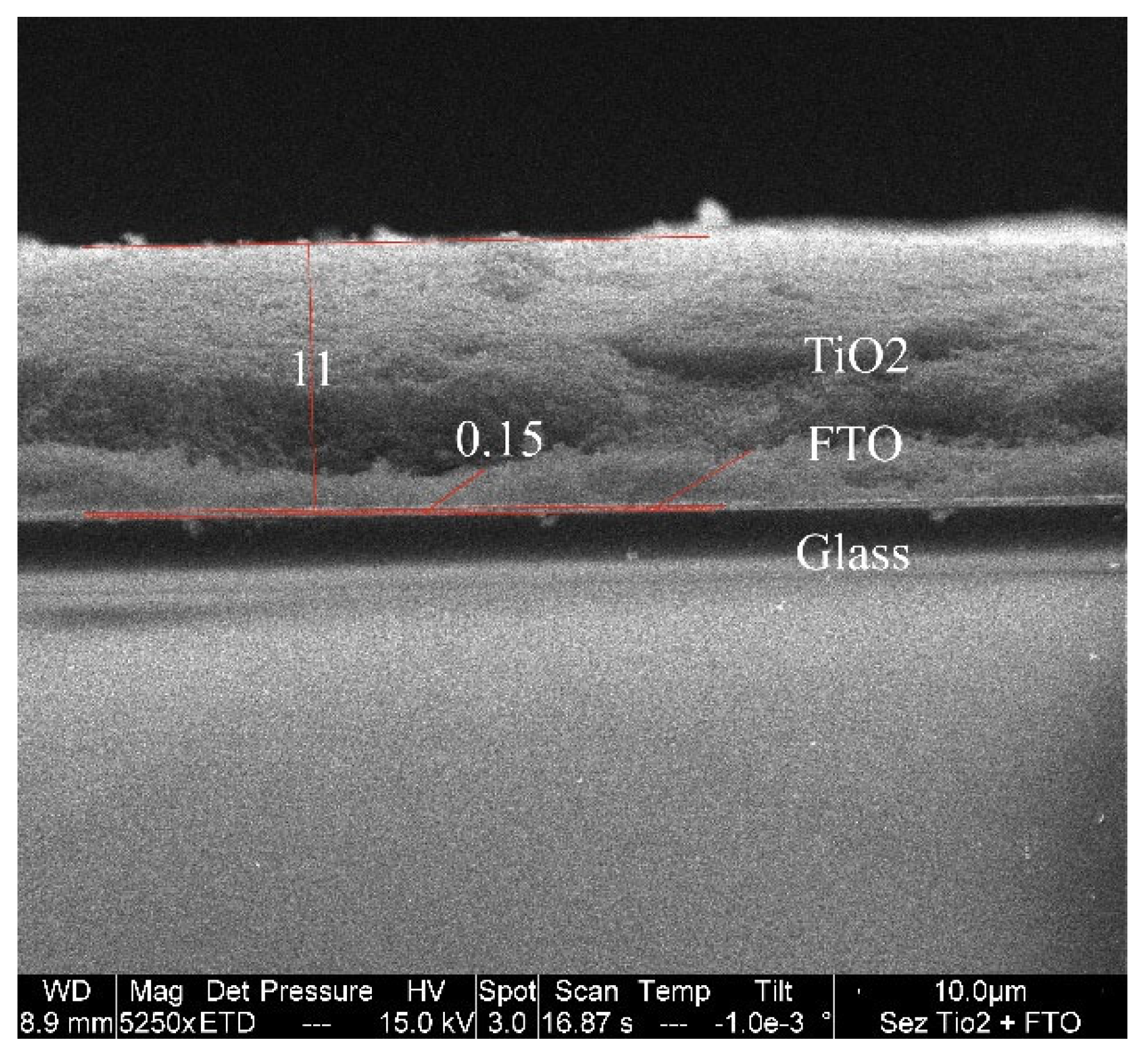 Coatings 14 01185 g002