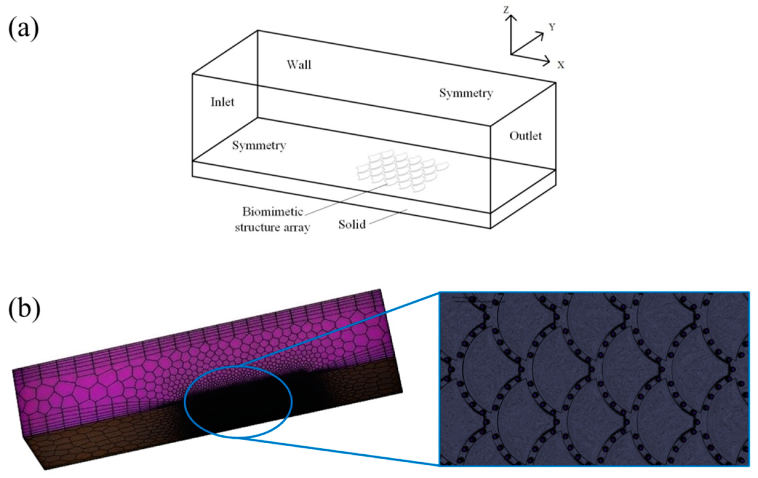 Coatings 14 01189 g002
