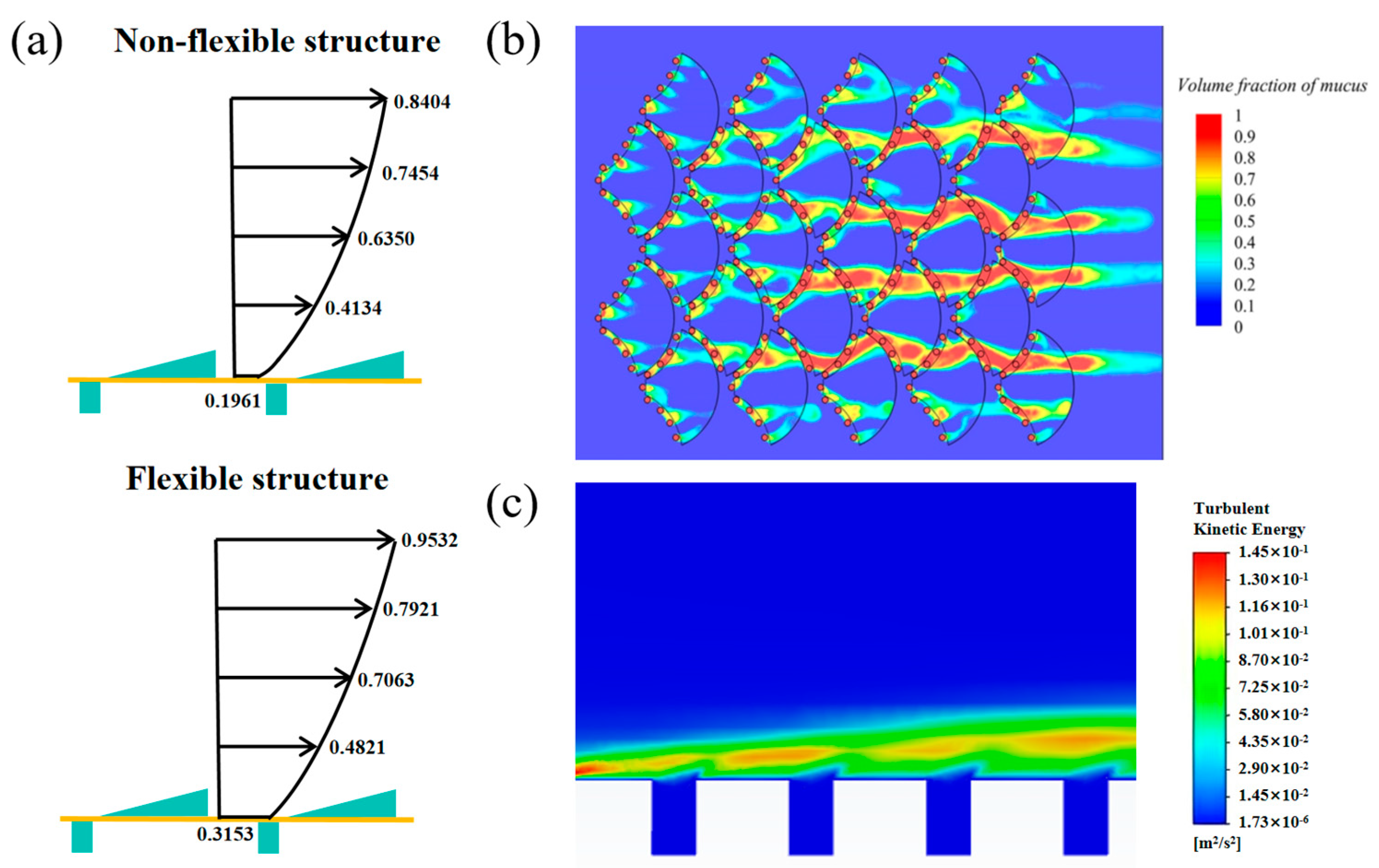 Coatings 14 01189 g005