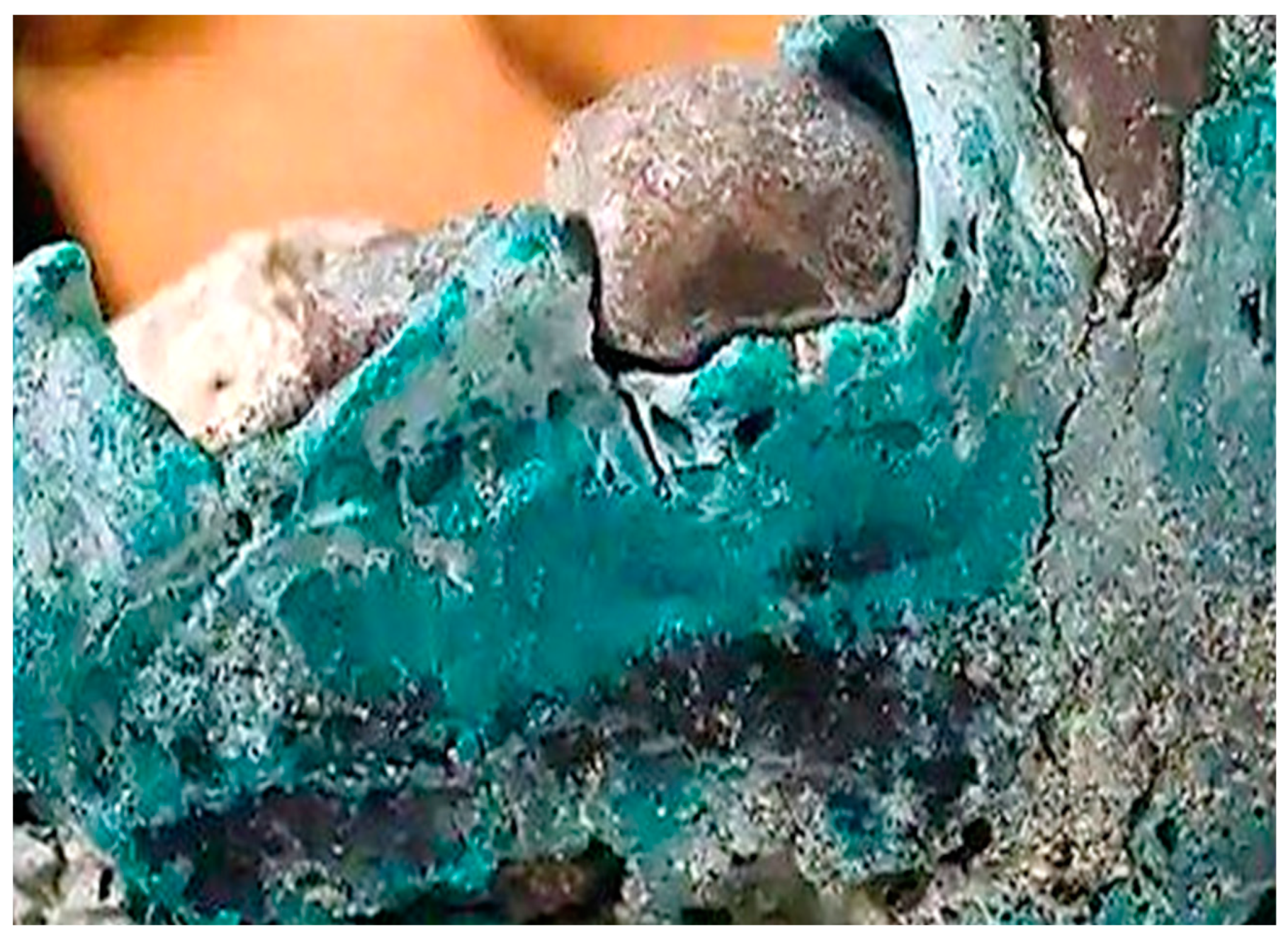 Coatings 14 01191 g001