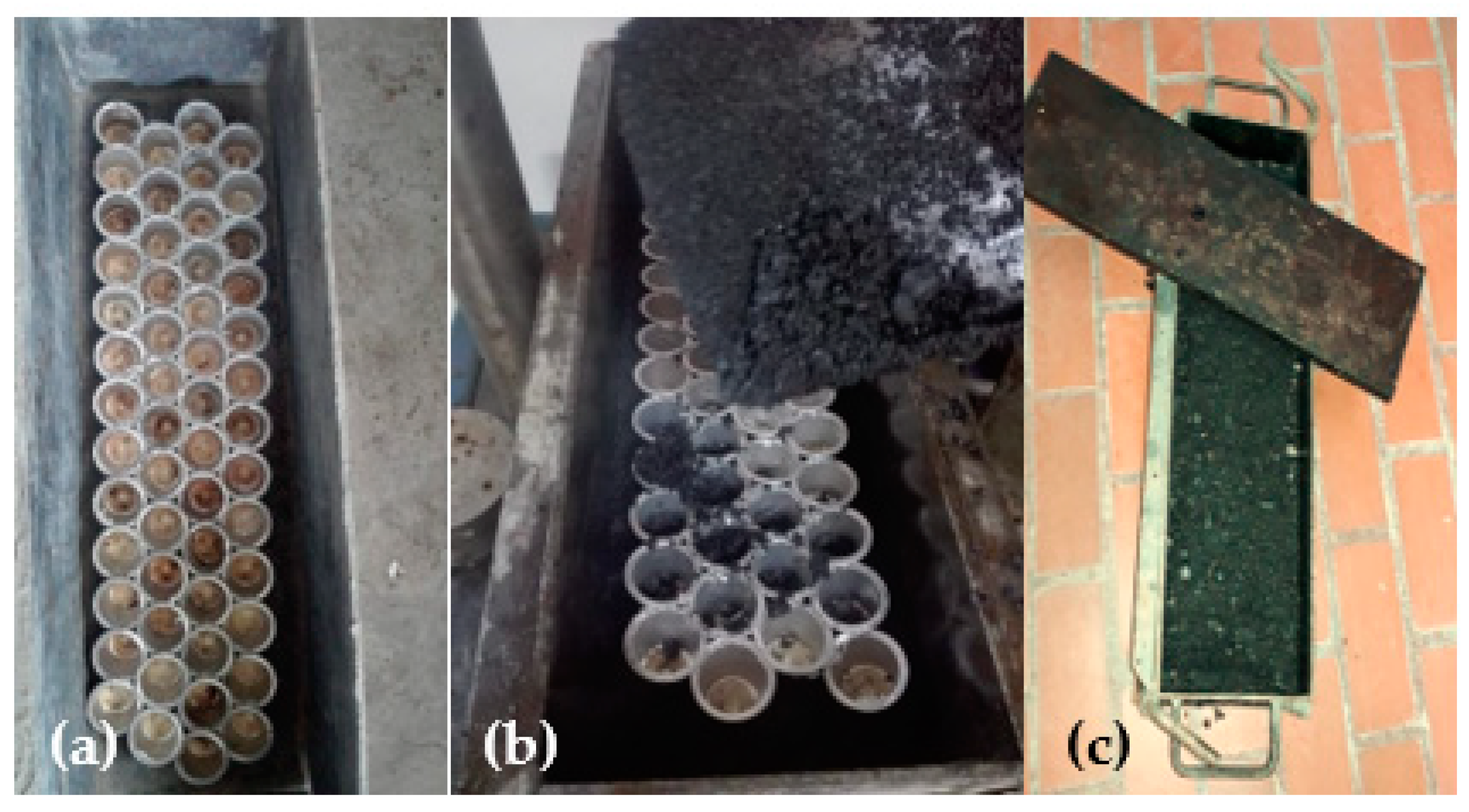 Coatings 14 01191 g006