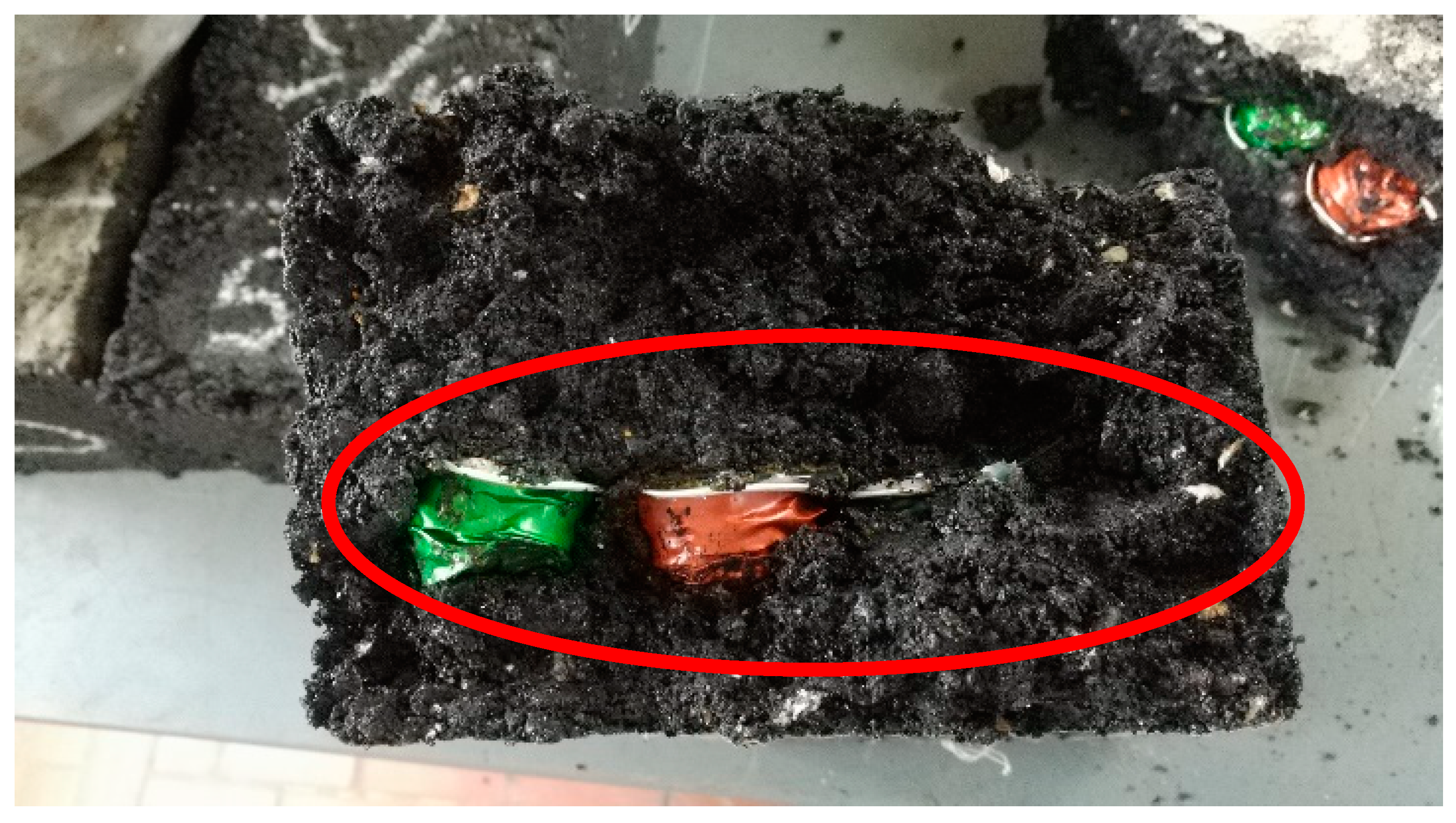 Coatings 14 01191 g008