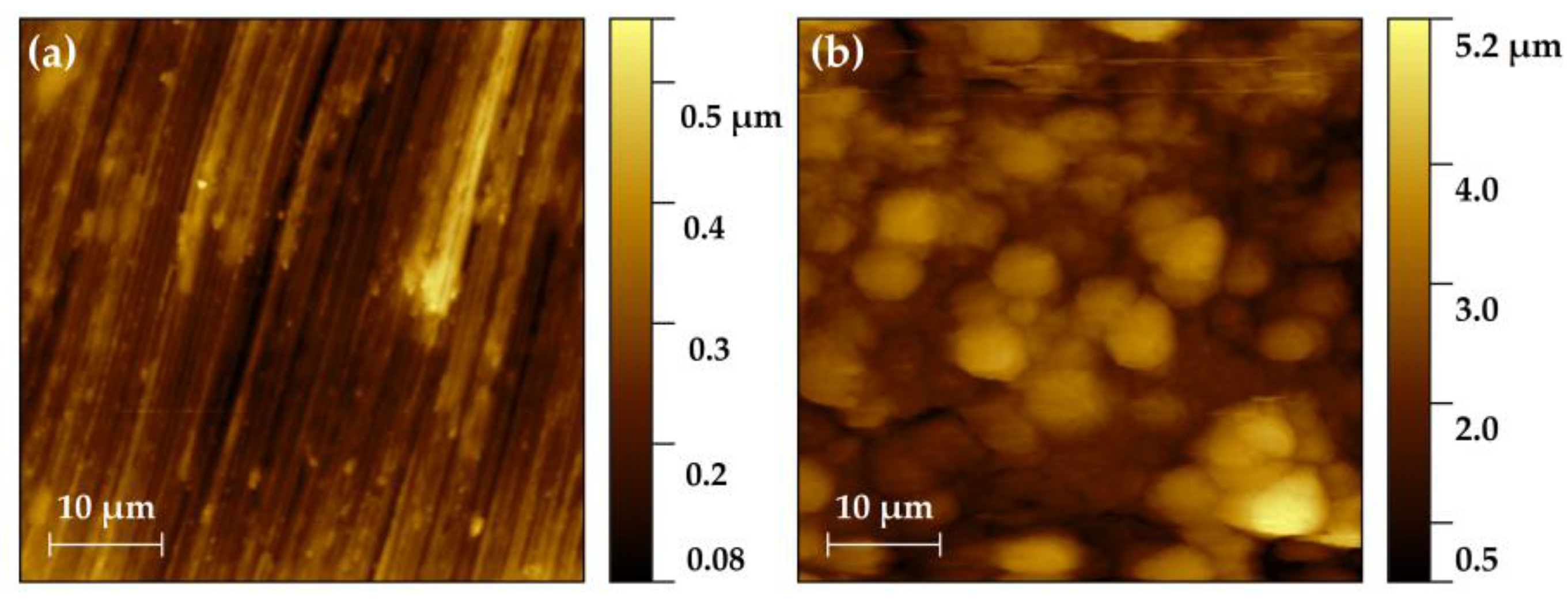 Coatings 14 01192 g001