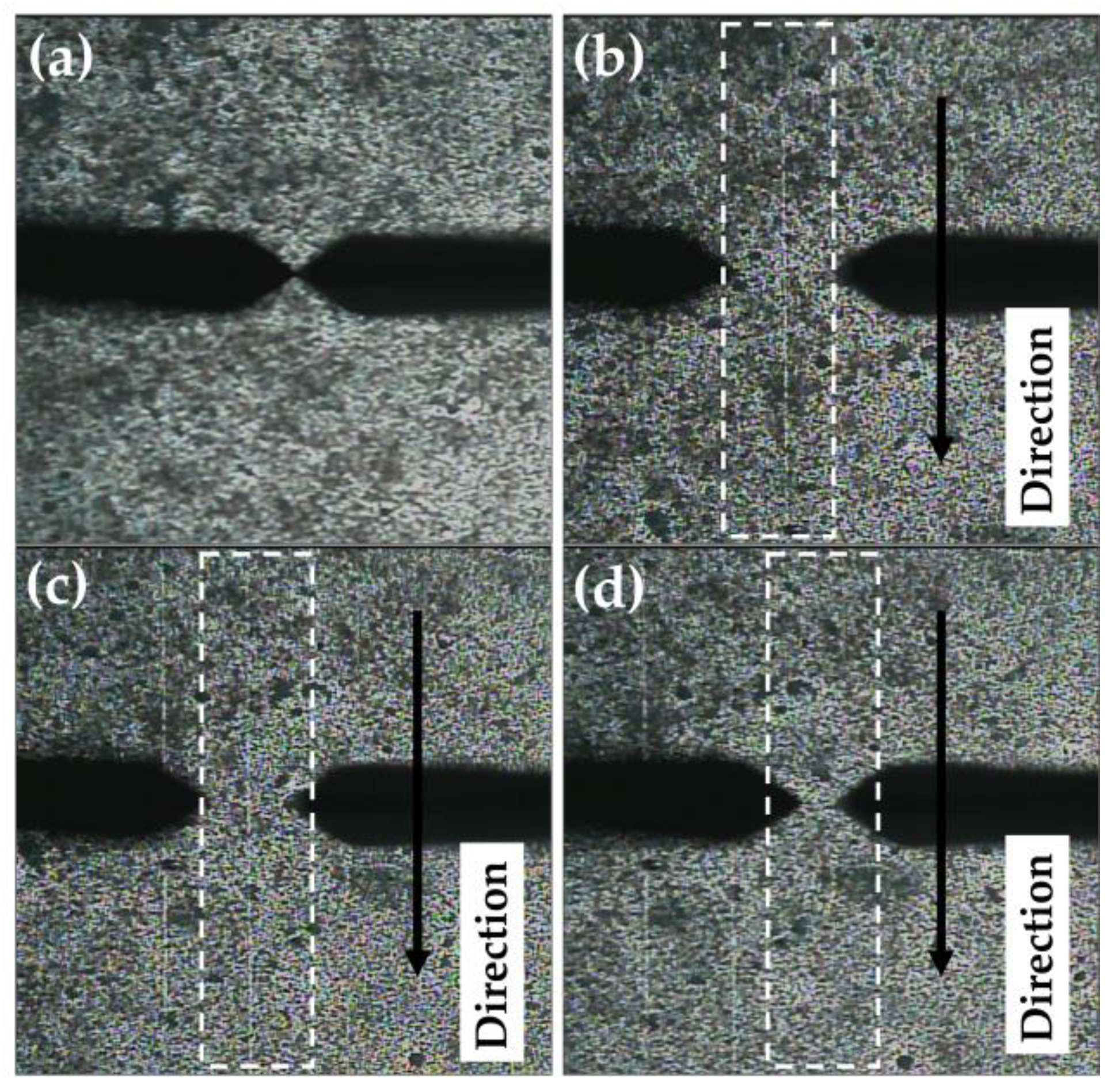 Coatings 14 01192 g003