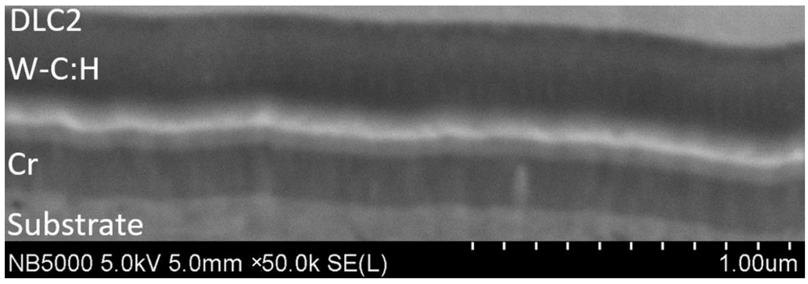 Coatings 14 01195 g004