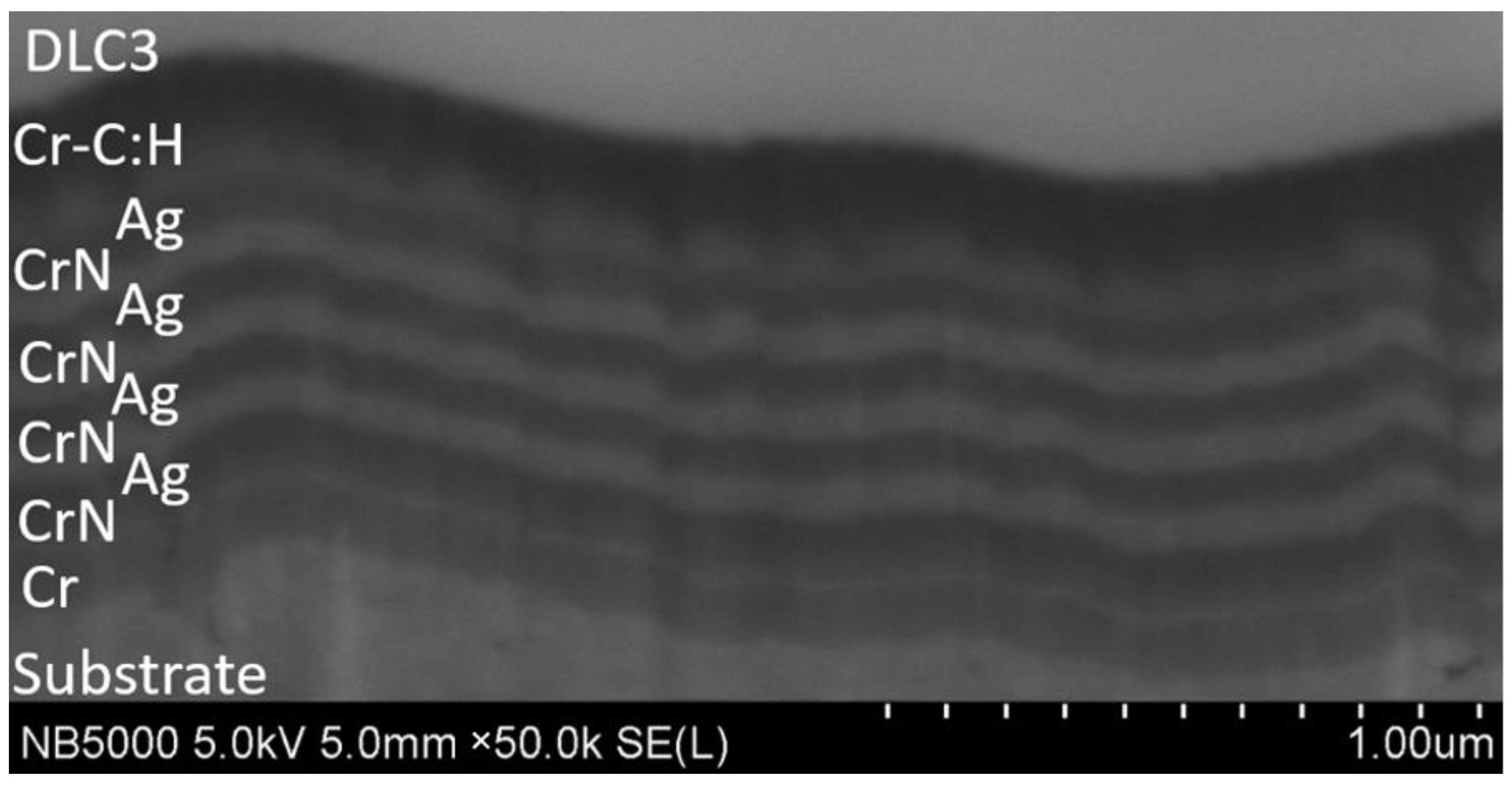 Coatings 14 01195 g005