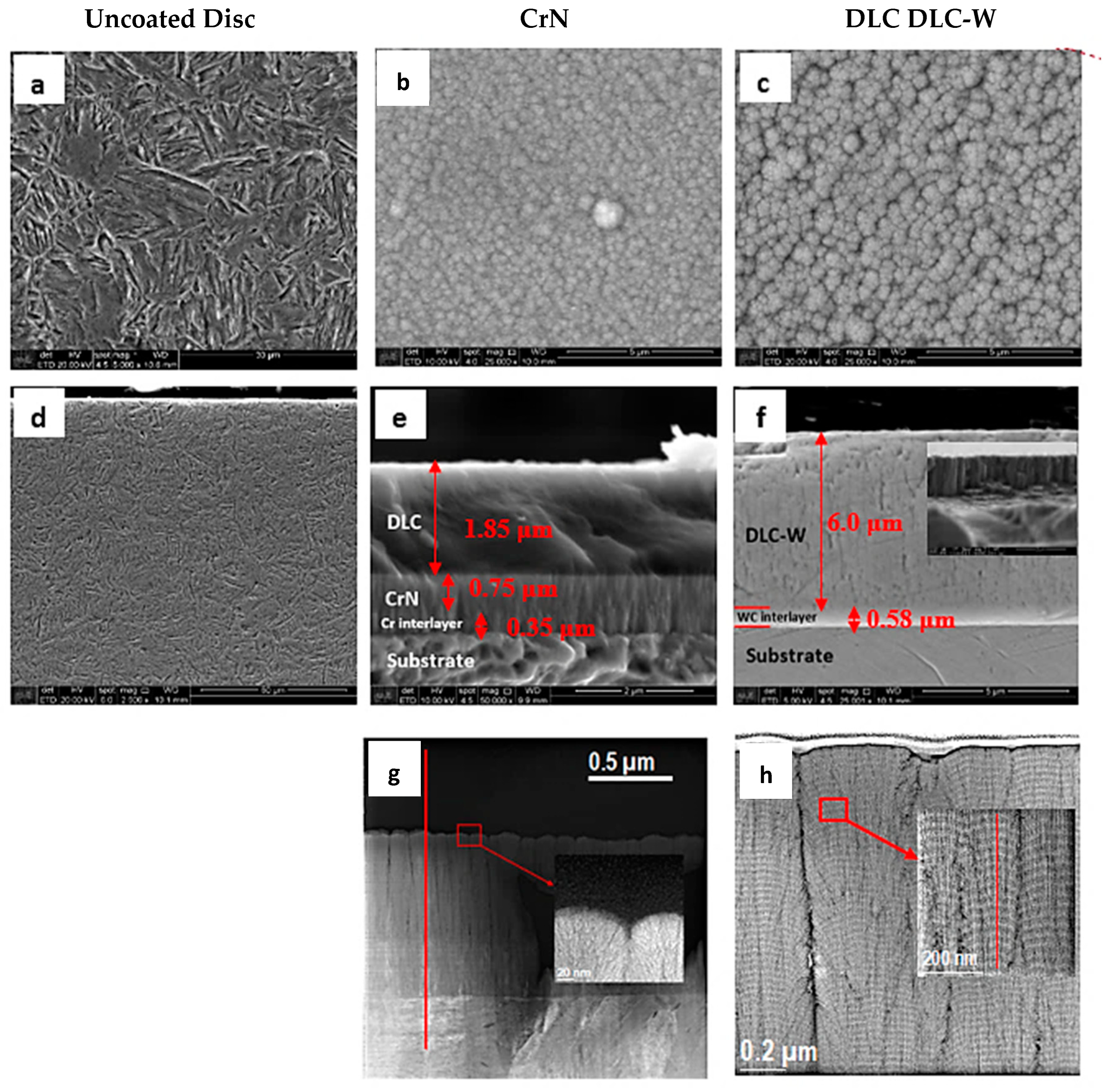 Coatings 14 01197 g003