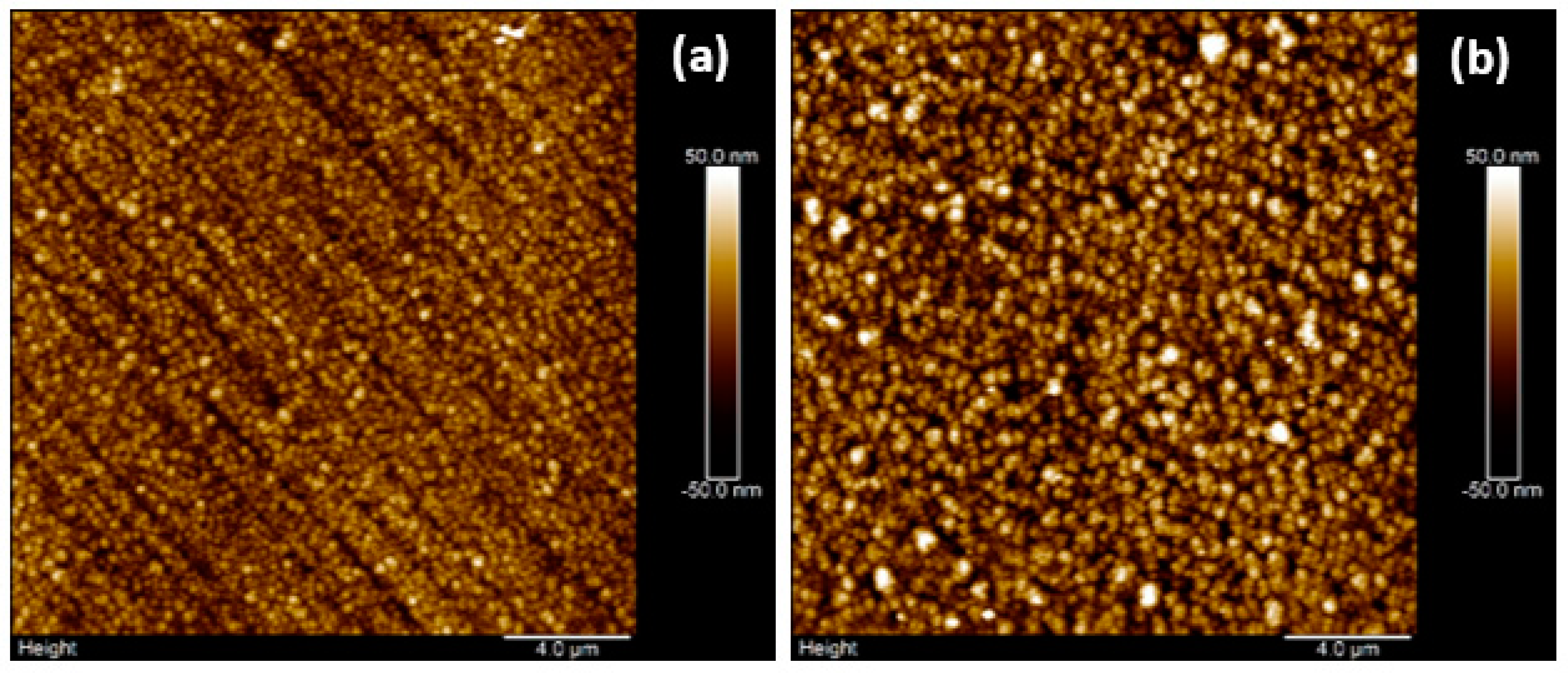 Coatings 14 01197 g004