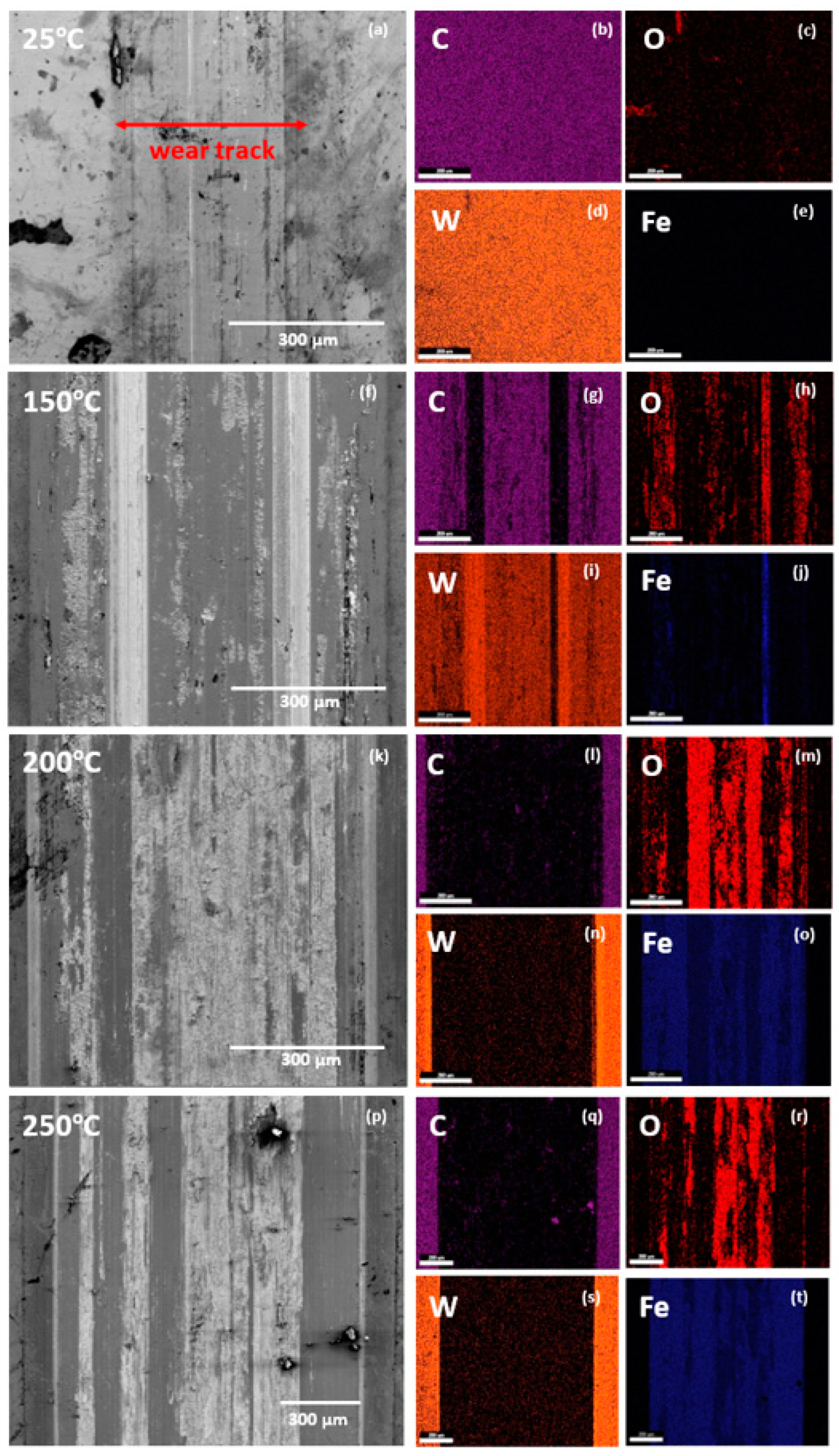 Coatings 14 01197 g014