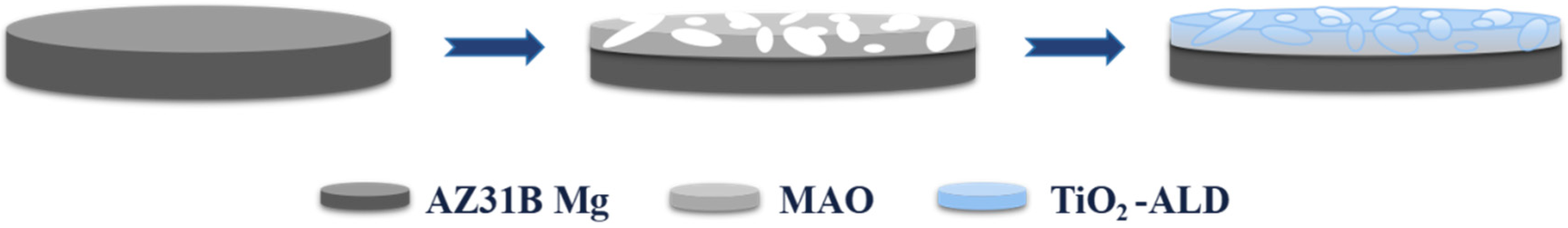 Coatings 14 01198 g001