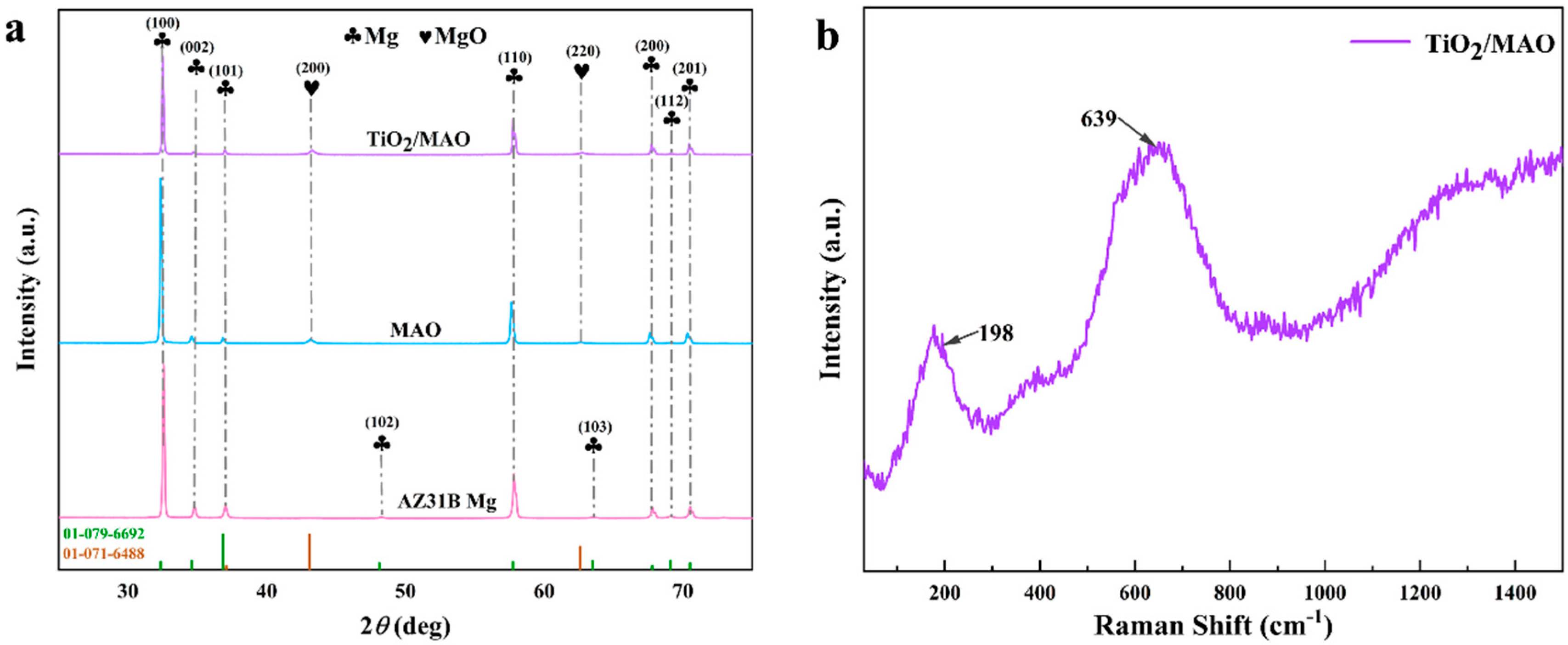 Coatings 14 01198 g004