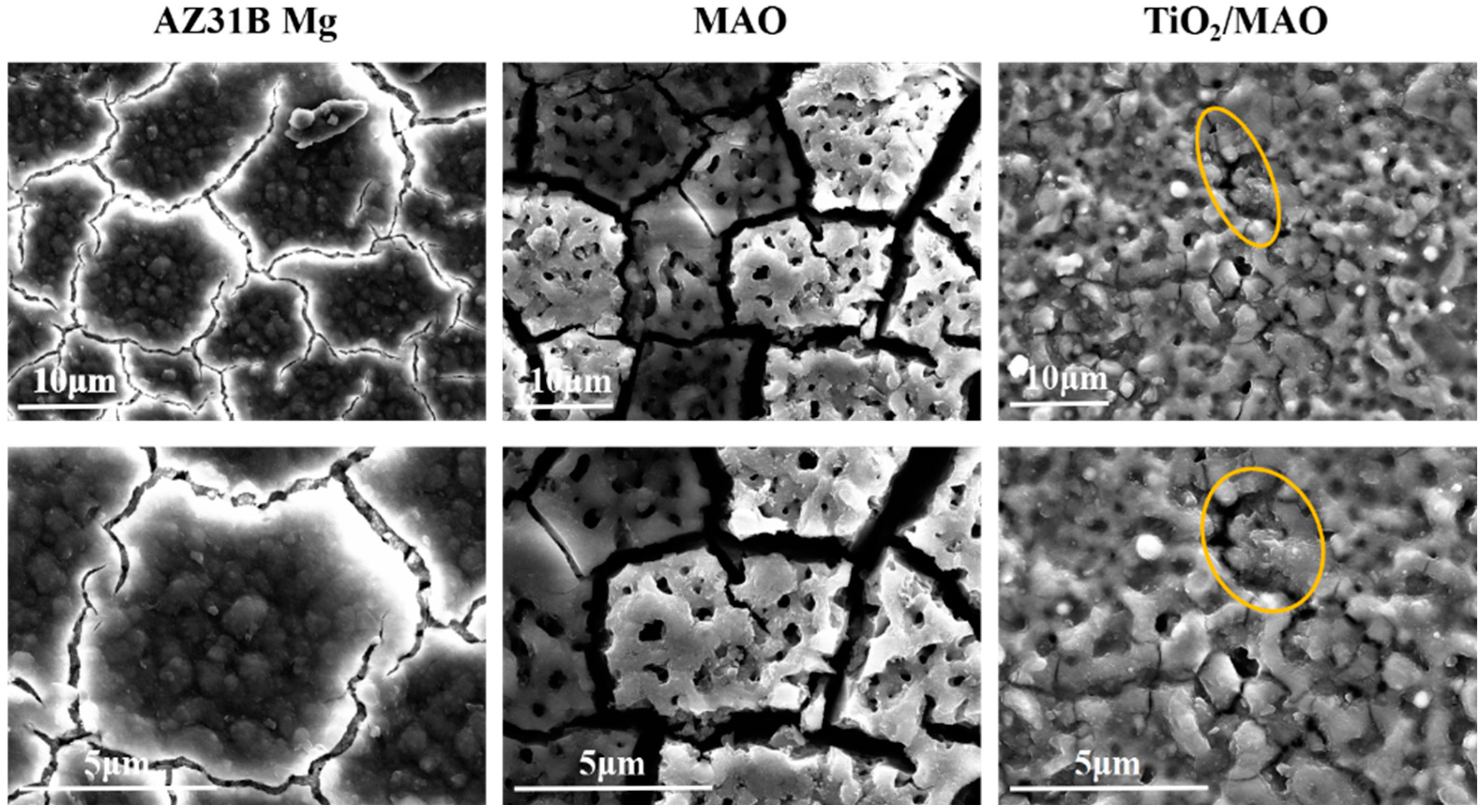 Coatings 14 01198 g007