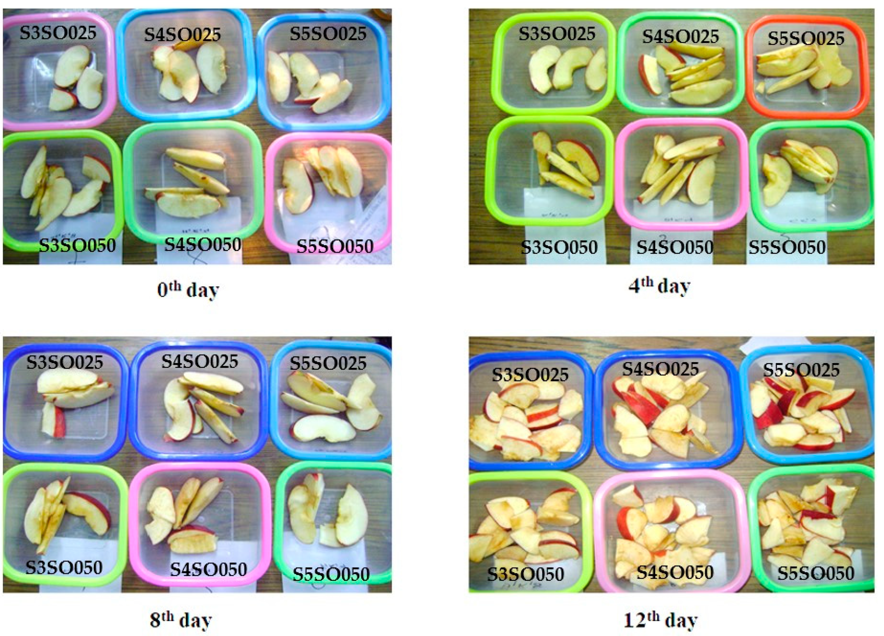 Coatings 14 01202 g002