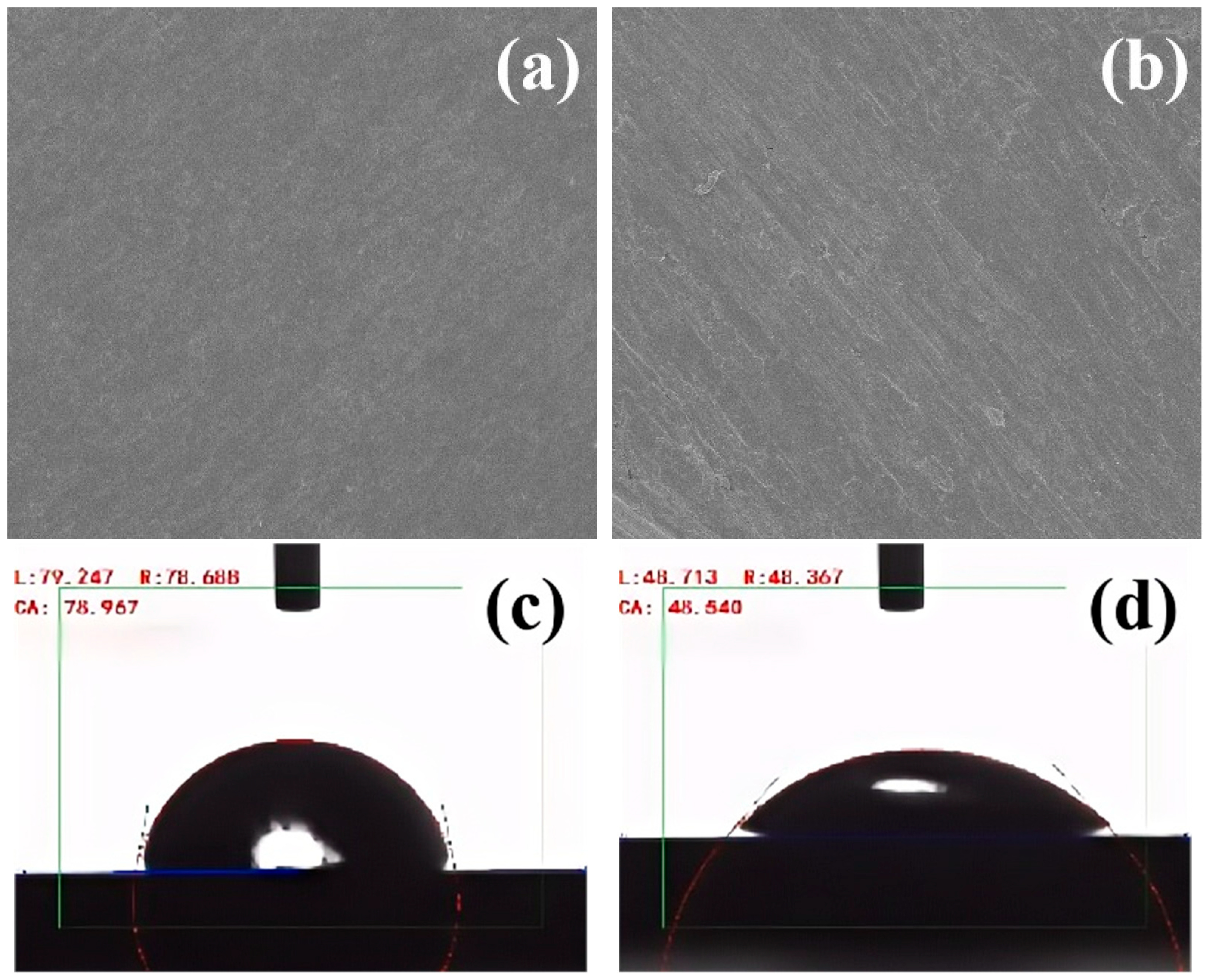 Coatings 14 01203 g003