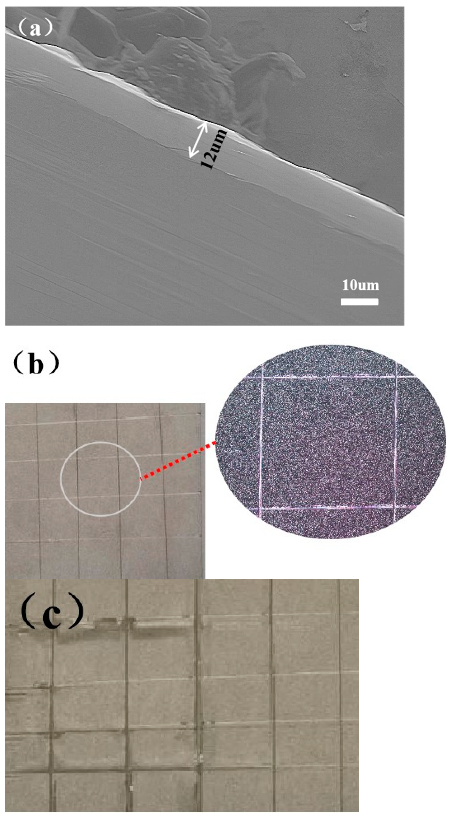 Coatings 14 01203 g013
