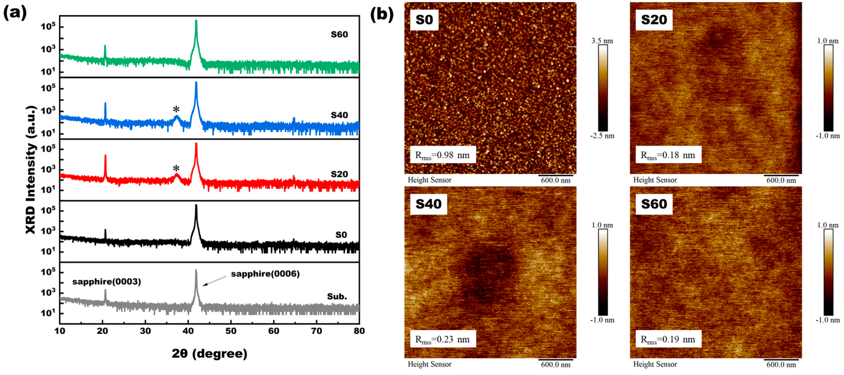 Coatings 14 01204 g002