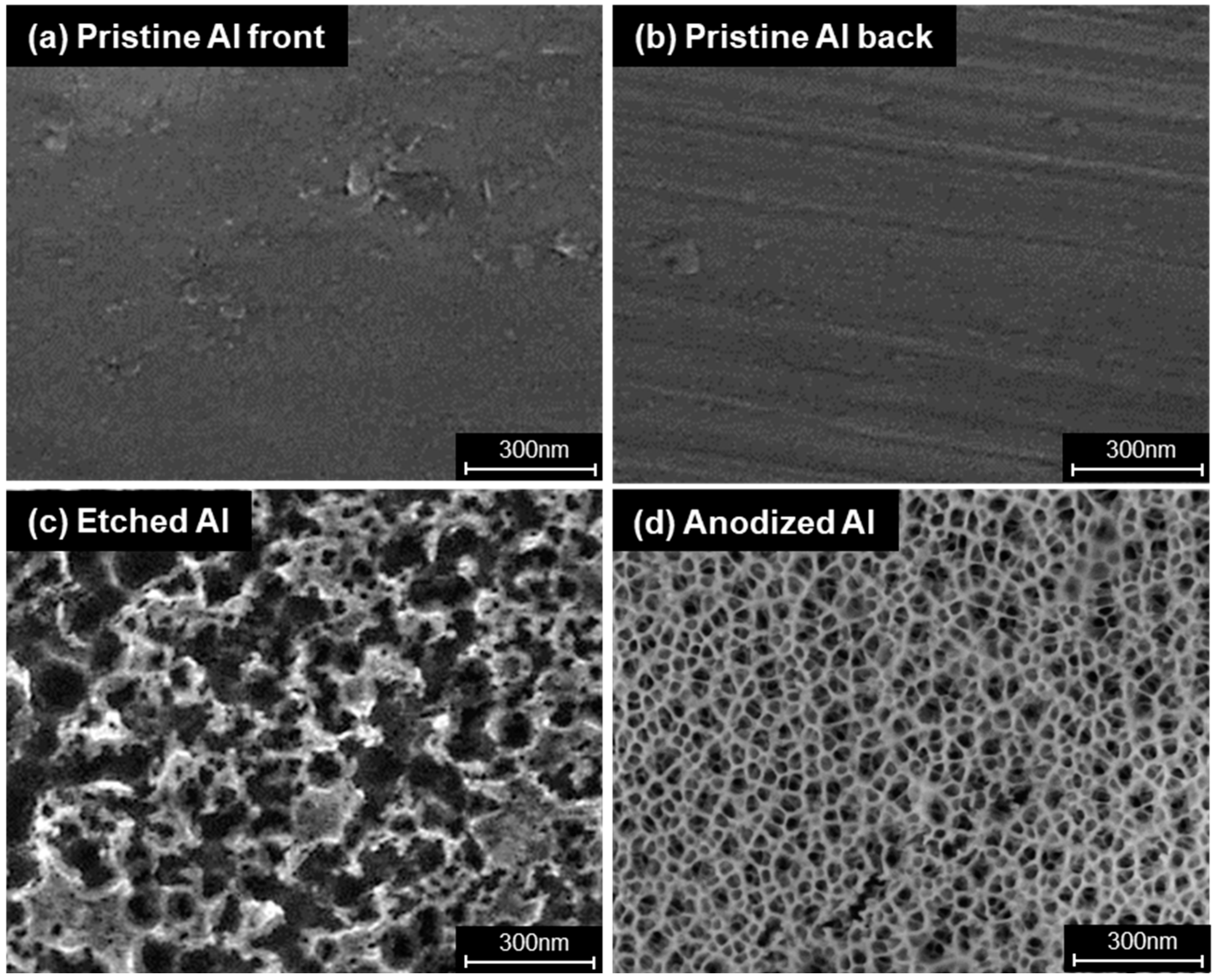Coatings 14 01205 g004