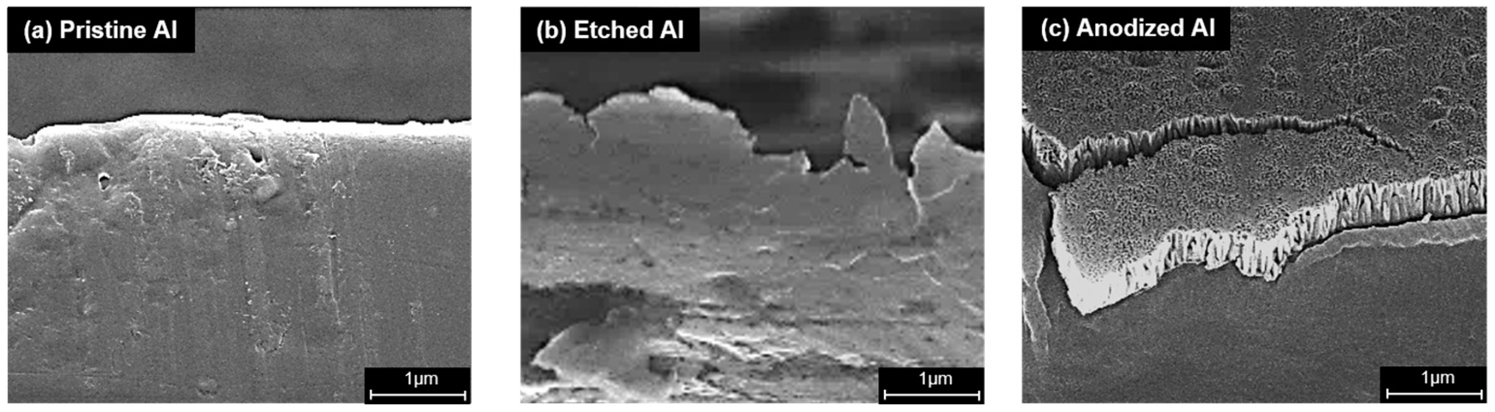 Coatings 14 01205 g005