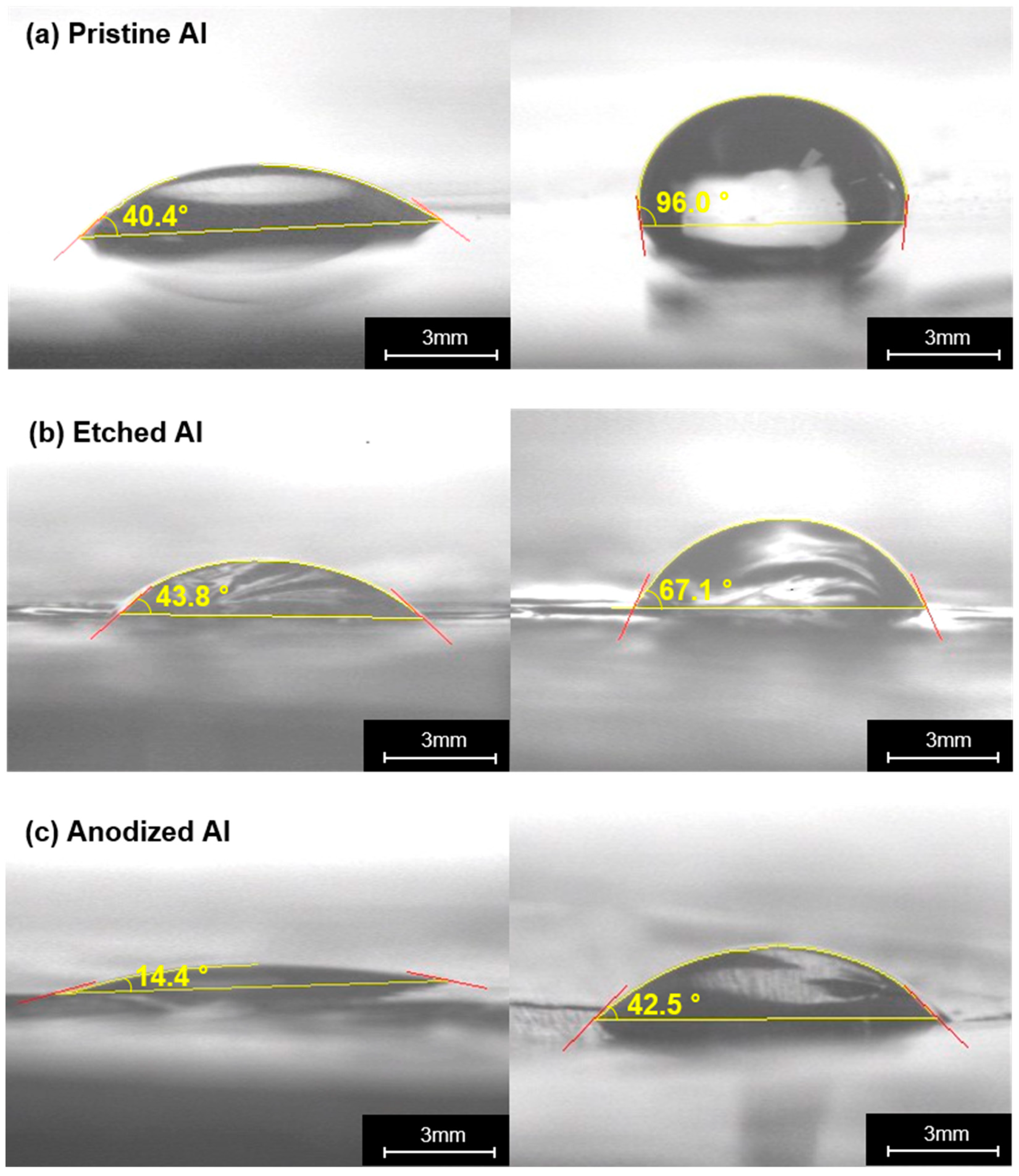 Coatings 14 01205 g007