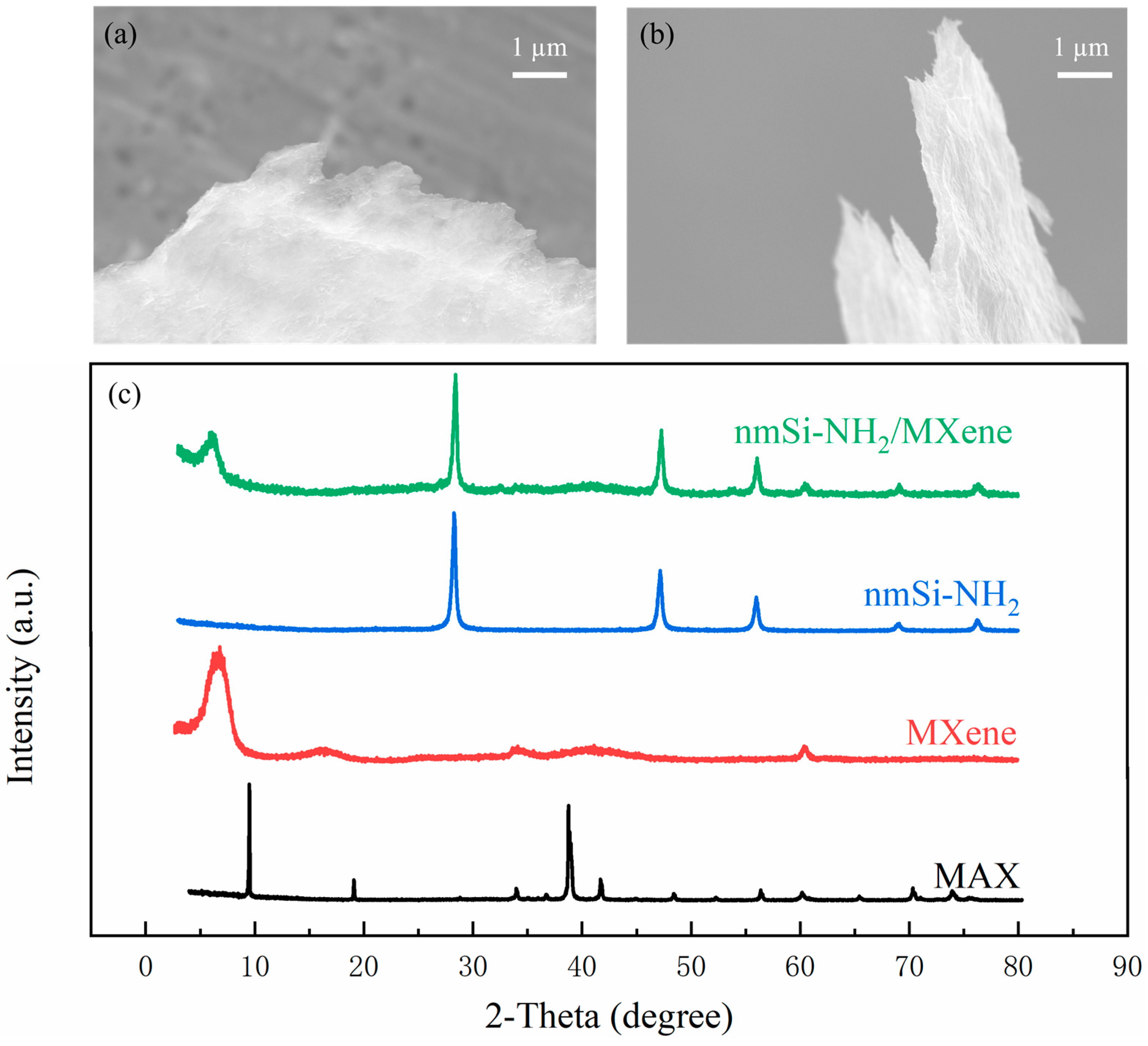 Coatings 14 01210 g002