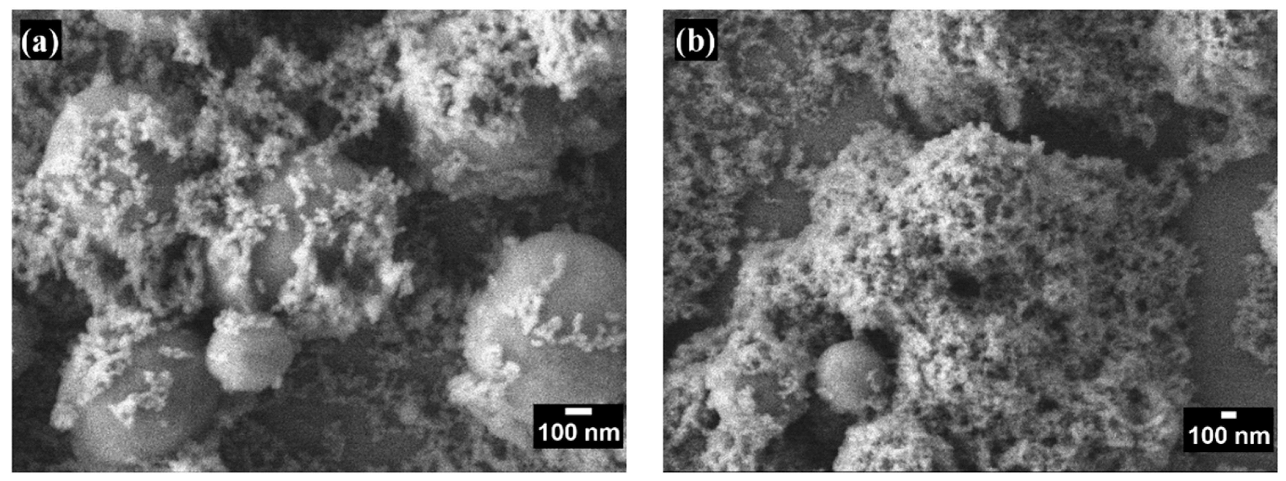 Coatings 14 01211 g003