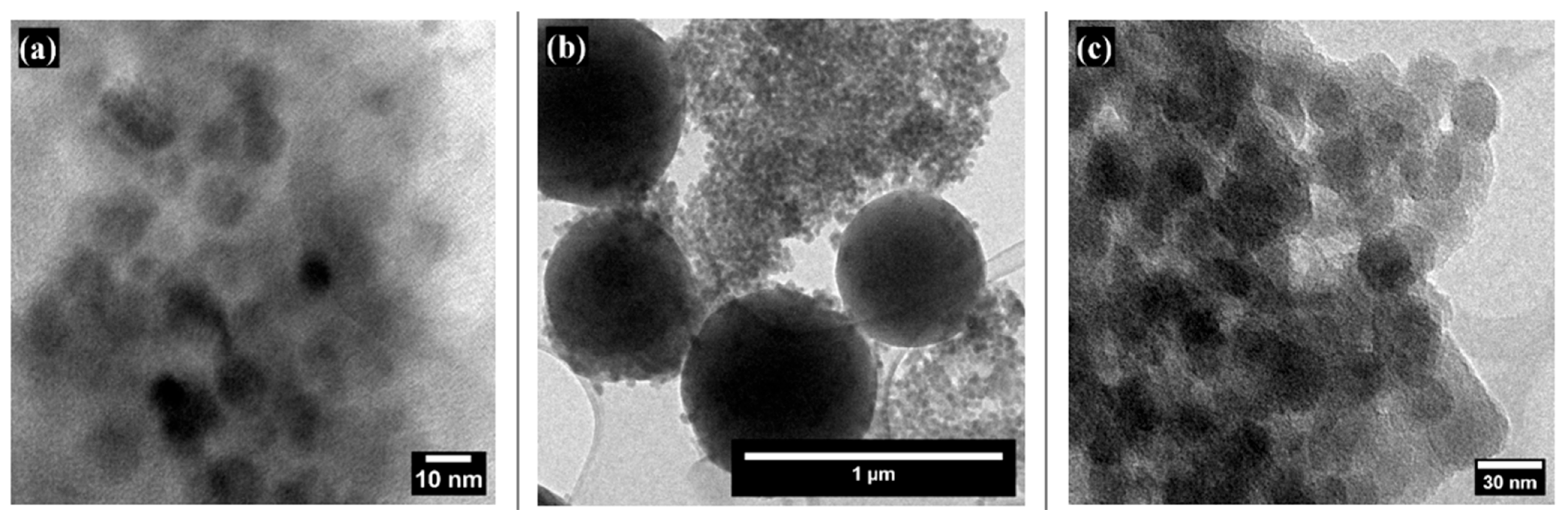 Coatings 14 01211 g004