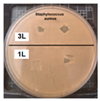 Coatings 14 01211 i006