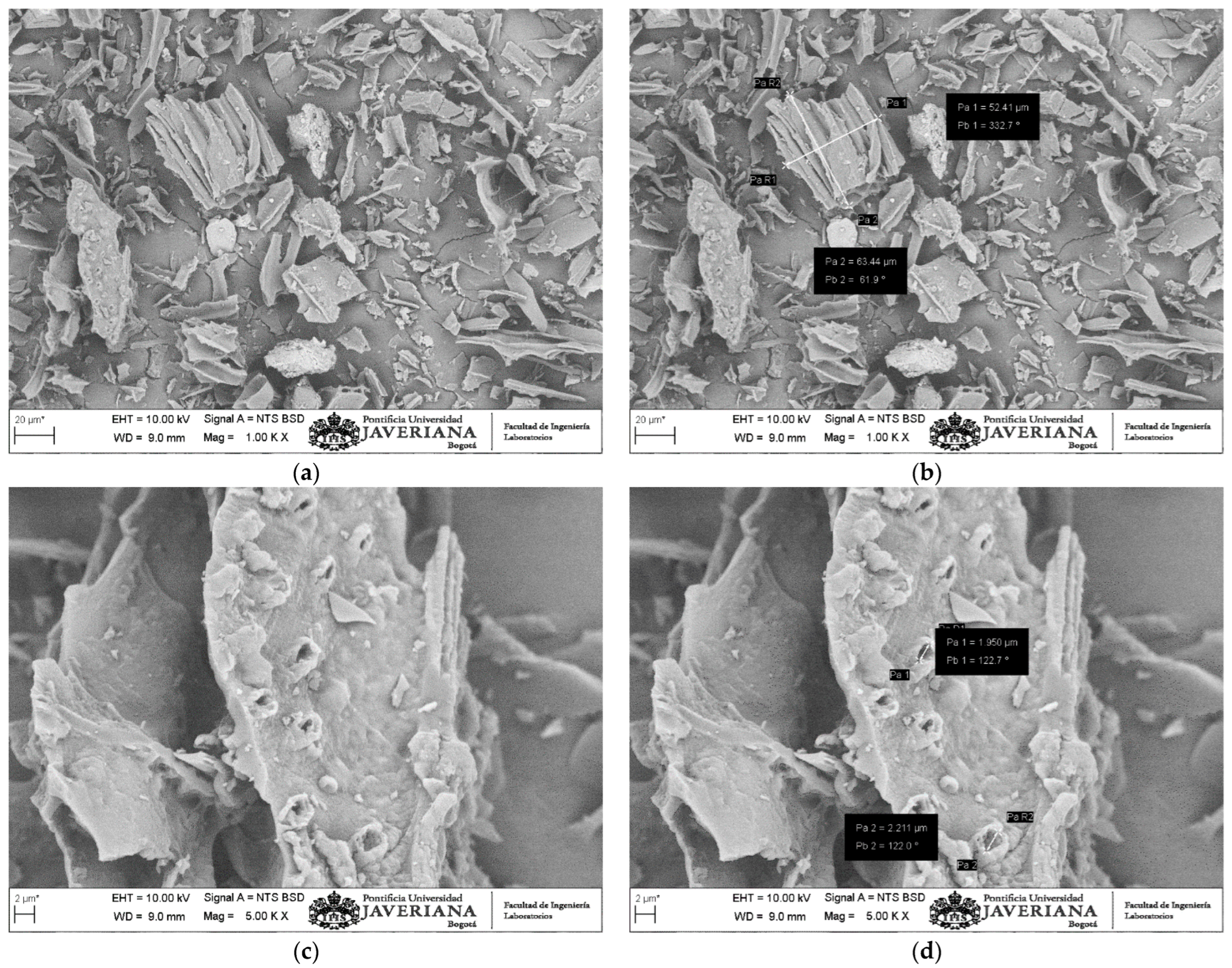 Coatings 14 01212 g002 Coatings 14 01212 g002