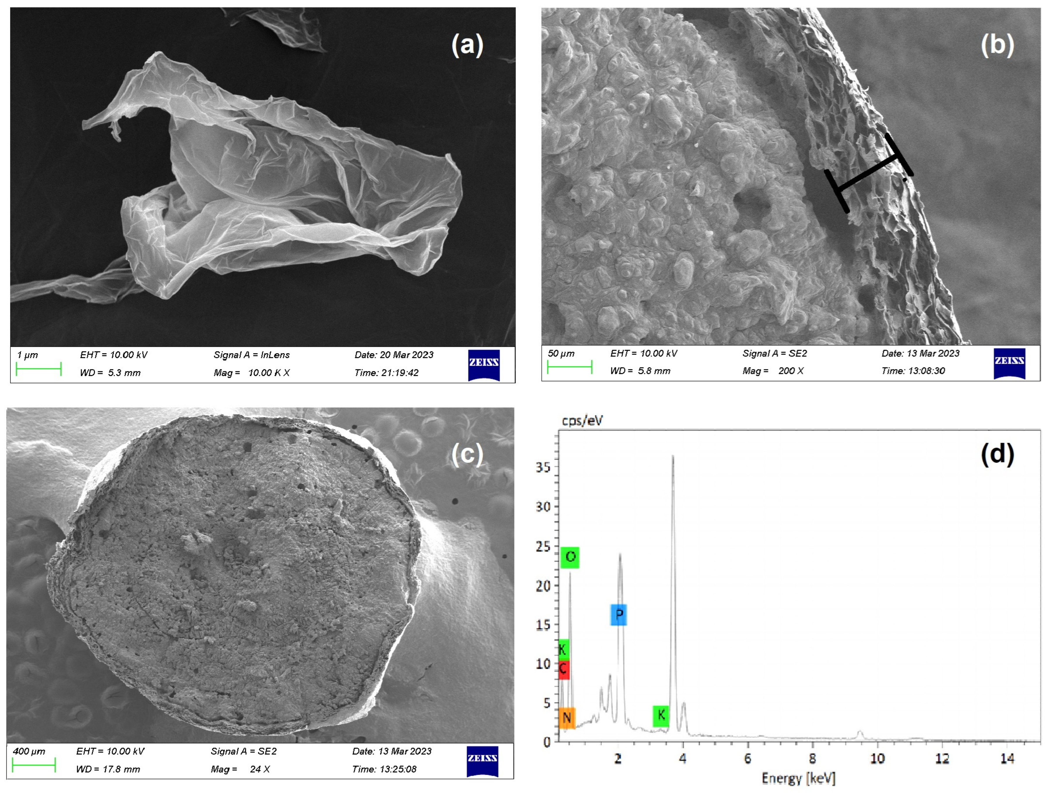 Coatings 14 01215 g007