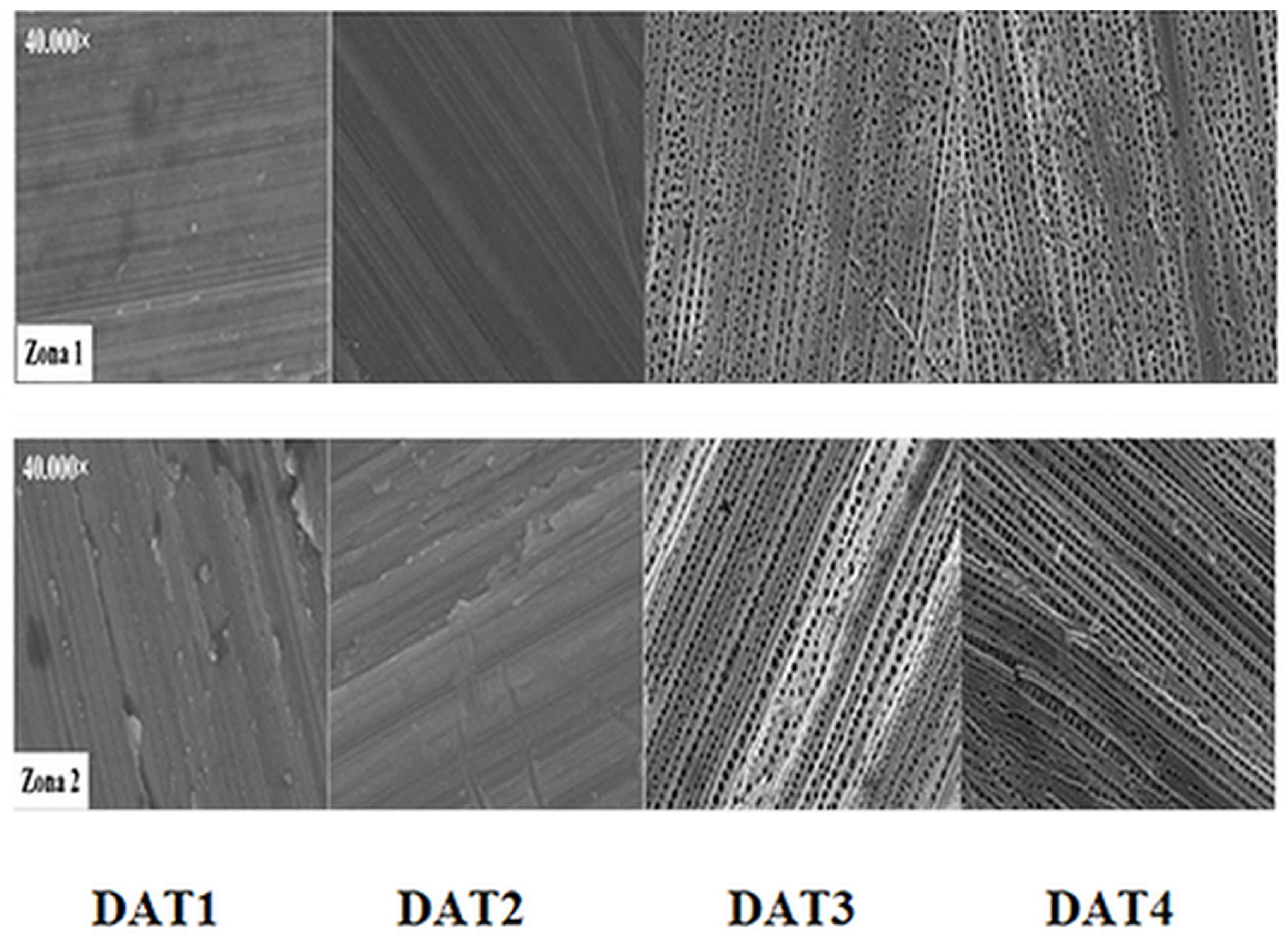 Coatings 14 01217 g008