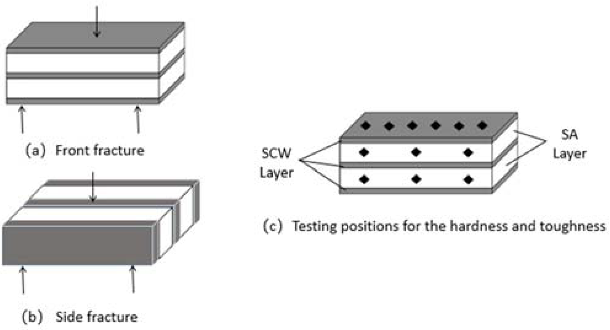 Coatings 14 01218 g004