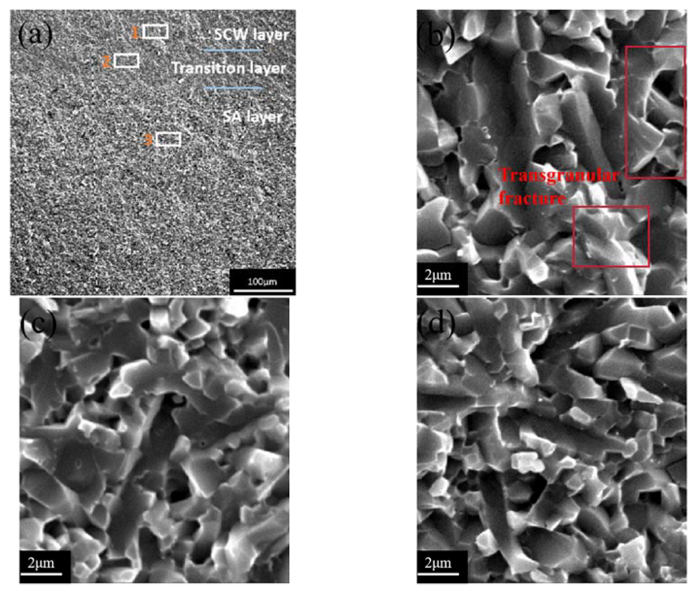 Coatings 14 01218 g010