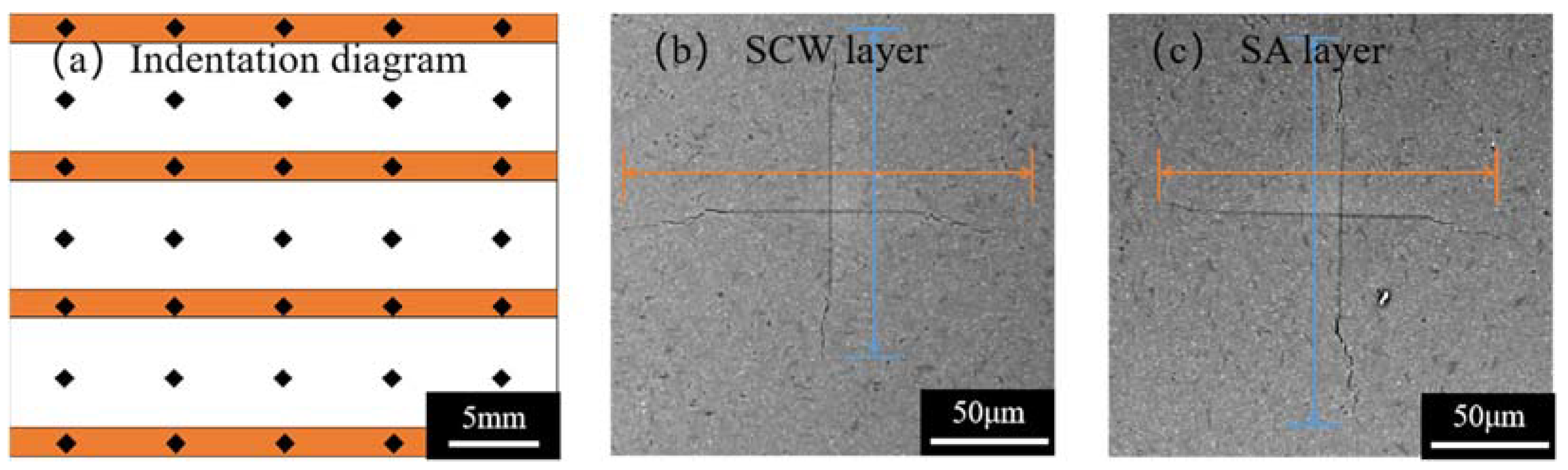 Coatings 14 01218 g012