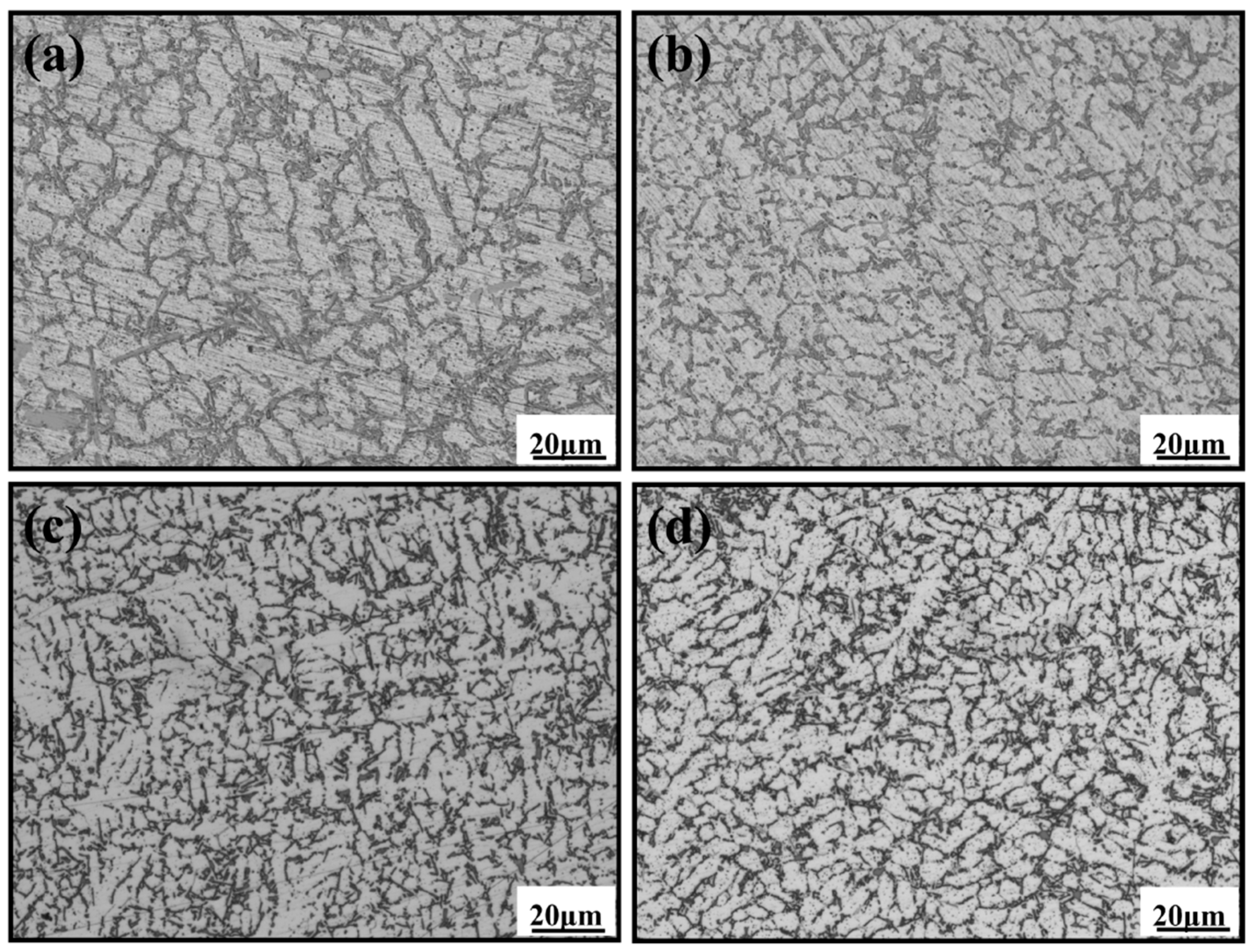 Coatings 14 01219 g005