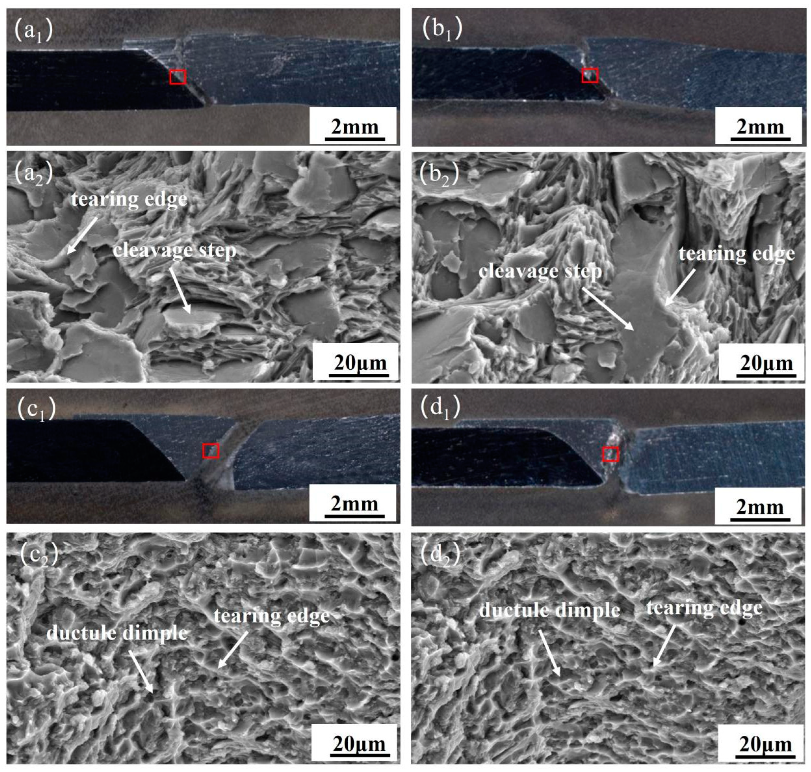 Coatings 14 01219 g008