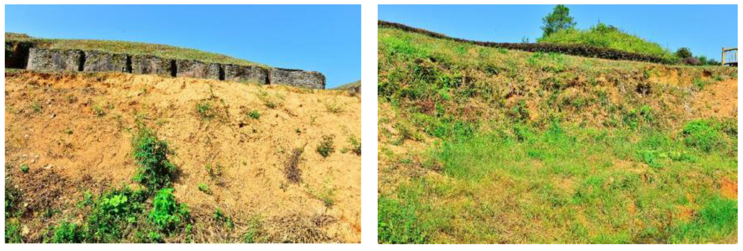 Coatings 14 01220 g006