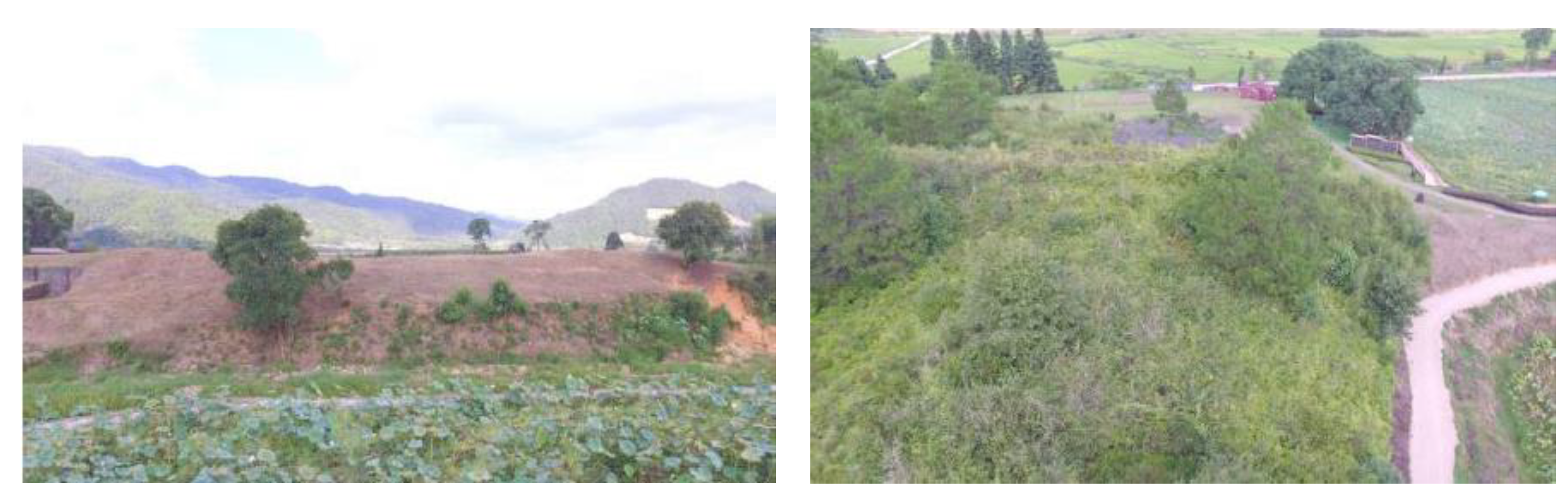 Coatings 14 01220 g007