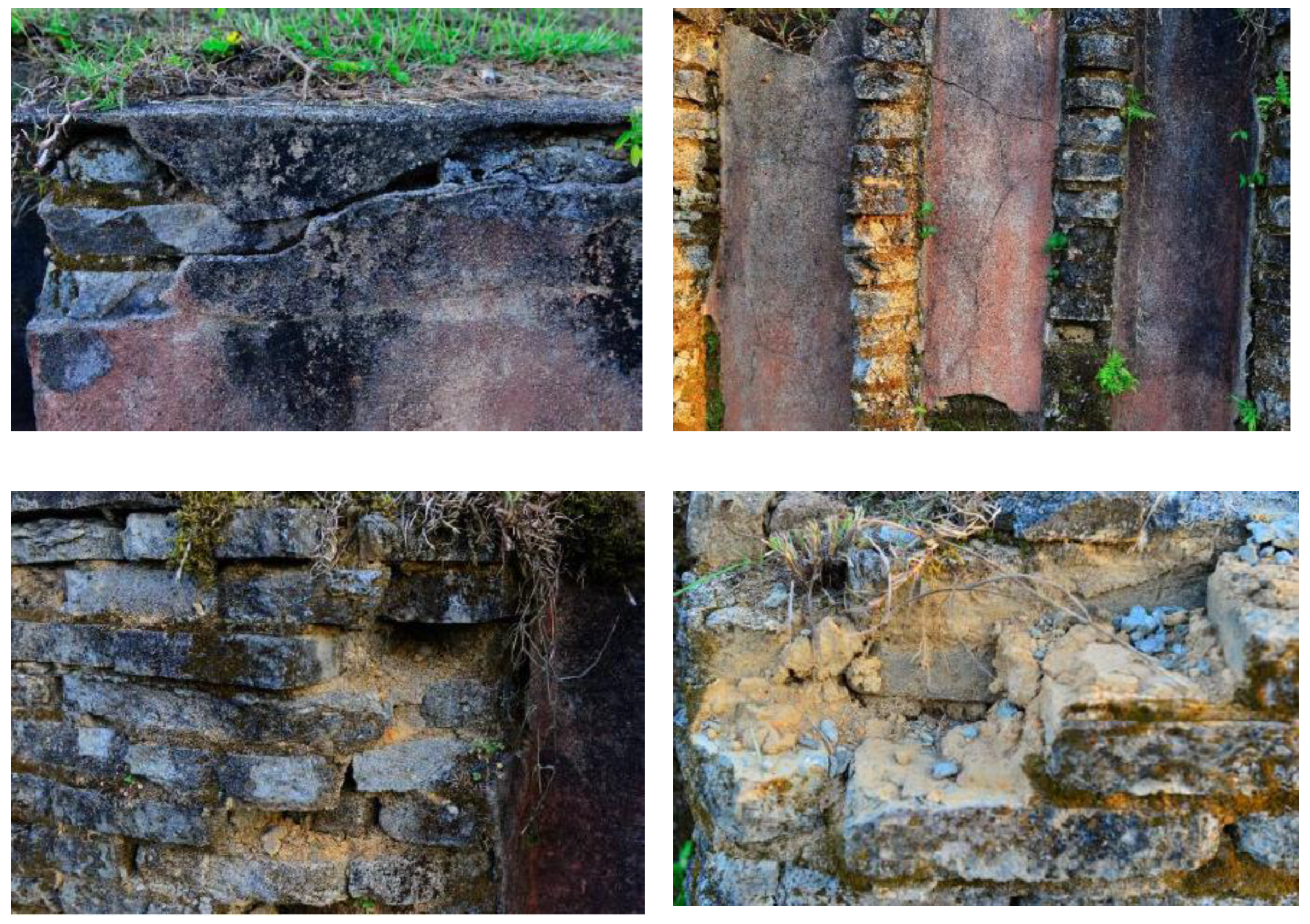 Coatings 14 01220 g008